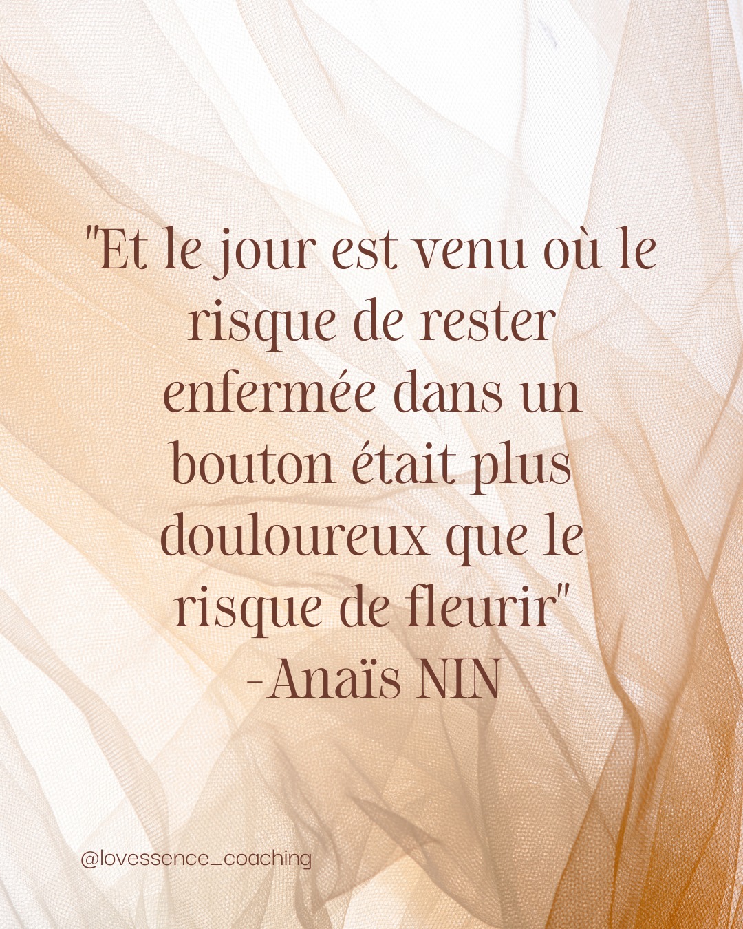 "Et le jour est venu où le risque de rester enfermée dans un bouton était plus douloureux que le risque de fleurir." — Anaïs Nin
Parfois, rester dans ce qu'on connaît fait plus mal que d'oser changer.
Rester petite, rester enfermée, rester dans le connu, même si ça fait mal.
Parce que c'est rassurant, parce que c'est ce qu'on connaît.
Parce que fleurir, c'est risqué.
Mais un jour, la douleur de rester devient plus grande que la peur de s'ouvrir.
Et ce jour-là, on fleurit. Pas d'un coup, pas parfaitement, mais on s'ouvre, on déploie nos pétales. On ose être qui on est vraiment.
Ce jour viendra pour toi aussi. Ou peut-être qu'il est déjà là. 💕
"Commente 💛 si ce jour est venu pour toi"
#anaïsnin #citation #fleurir #transformation #oser #changement #coachdecoeur #lovessence #heartset #êtresoi