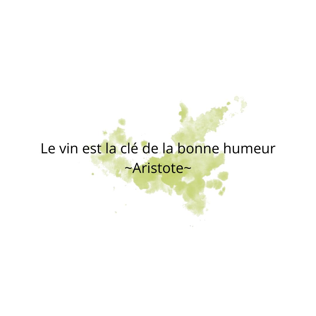 Il a le pouvoir magique de transformer n'importe quel moment en une célébration. Que ce soit pour un dîner entre amis ou un apéro en famille, un bon verre de vin ajoute toujours une touche de joie. 🥂✨#citation #aristote #vins #alsace