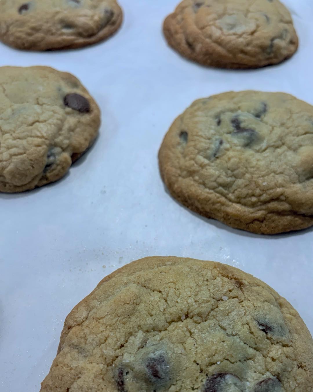 Handmade cookies with that perfect soft centre. Available for orders โ DM to enquire ๐ช
#amberblossomcakes #shoalhaven #localbusiness #smallbusinesses #SouthCoastWeddings #cookies #chocchipcookies๐ช #chocchip #chocchipcookies