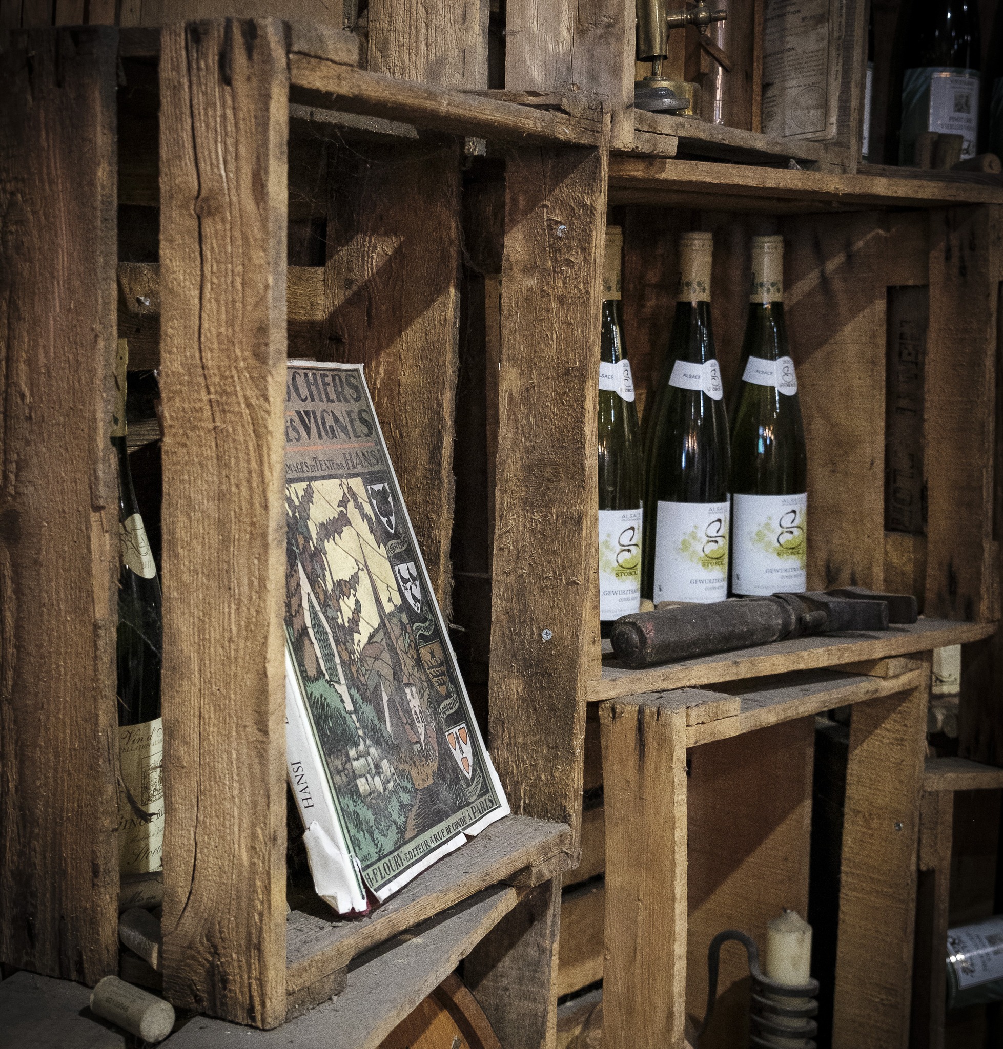 La décoration d'une cave peut transformer une simple visite en une véritable expérience sensorielle ! 🍷✨ #winery #winemaker #alsace
Photographe: Philippe Pennerat