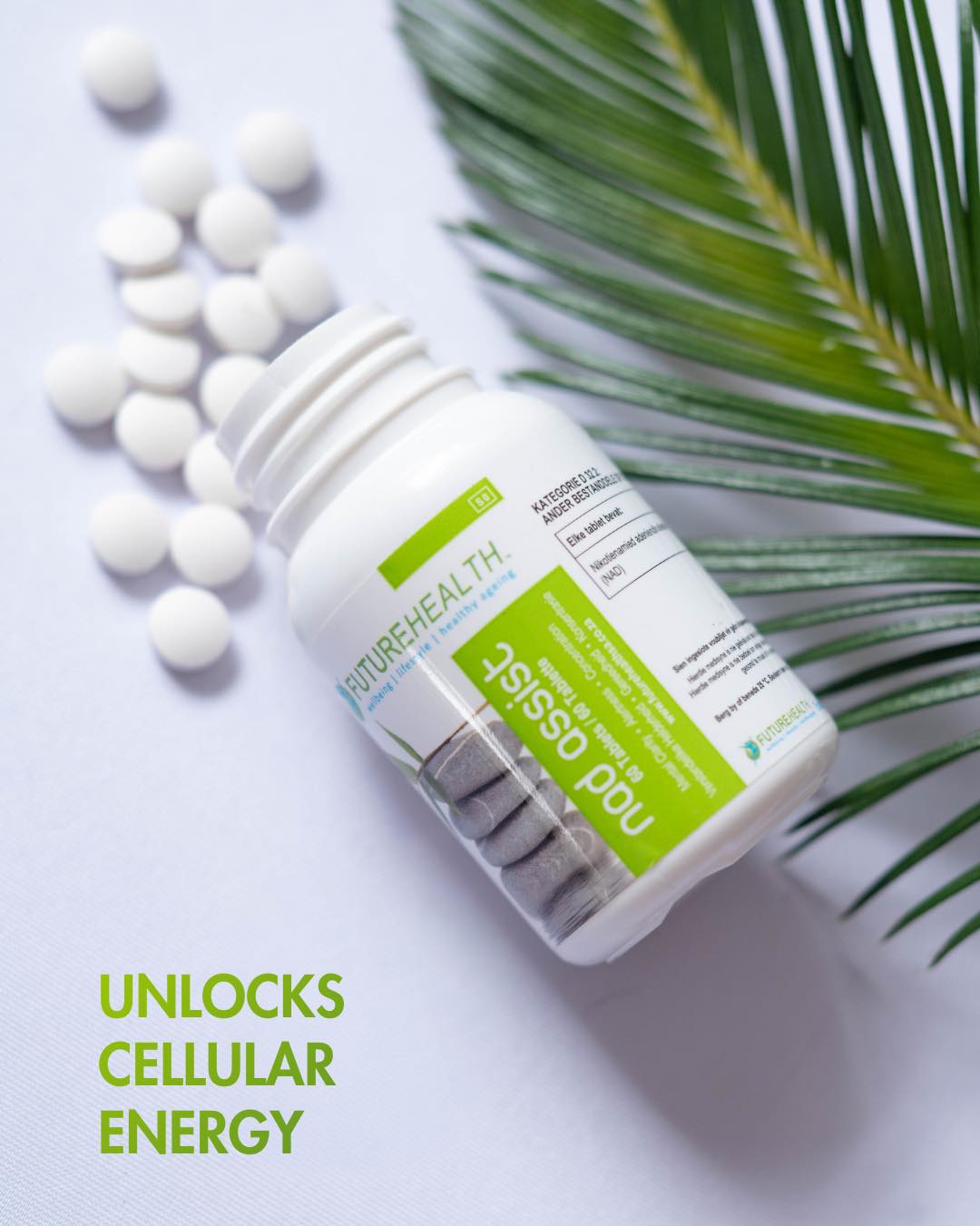 When your mind is clear and your energy is steady, everything feels easier. Support focus, memory, immune health, and cellular energy so you can show up at your best every day.
Purchase yours today: https://www.futurehealthsa.co.za/product-page/nad-assist
#focusbetter #brainfuel #dailyenergy #immunewellness #healthfromwithin