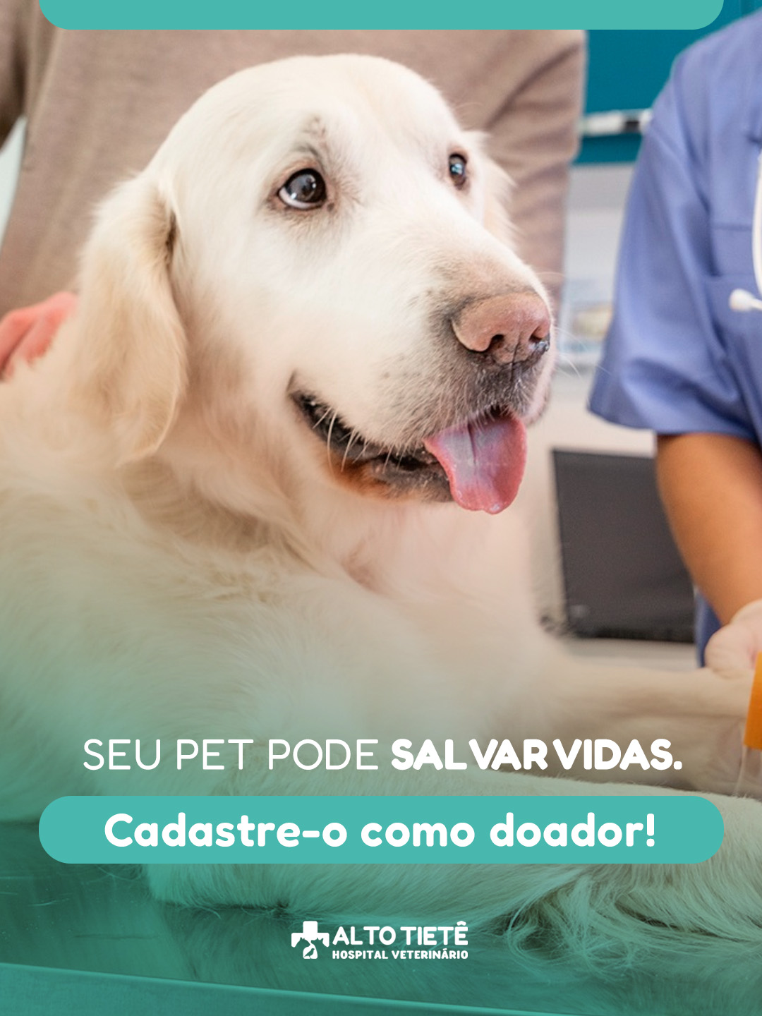 Seu cão pode ser um herói!
Estamos cadastrando doadores de sangue aqui no hospital e o melhor: com benefícios exclusivos para quem participa.
Ao se cadastrar, seu pet recebe gratuitamente:
- Perfil Básico 2 (check-up completo)
- Testes rápidos para 4DX e Leishmaniose
- Triagem com nossa equipe clínica
Pré-requisitos: ser dócil, ter entre 1 e 8 anos, pesar a partir de 25kg e estar com vacinas em dia.
Fale com a recepção ou nossa equipe para participar da campanha!
📍 Hospital Veterinário Alto Tietê – Arujá/SP
Atendimento 24h | Banco de sangue animal | Triagem gratuita
#DoaçãoDeSanguePet #PetHeroi #BancoDeSangueAnimal #HospitalVeterinário #SaúdeAnimal #PetSolidário #DoeSangueDoeVida
