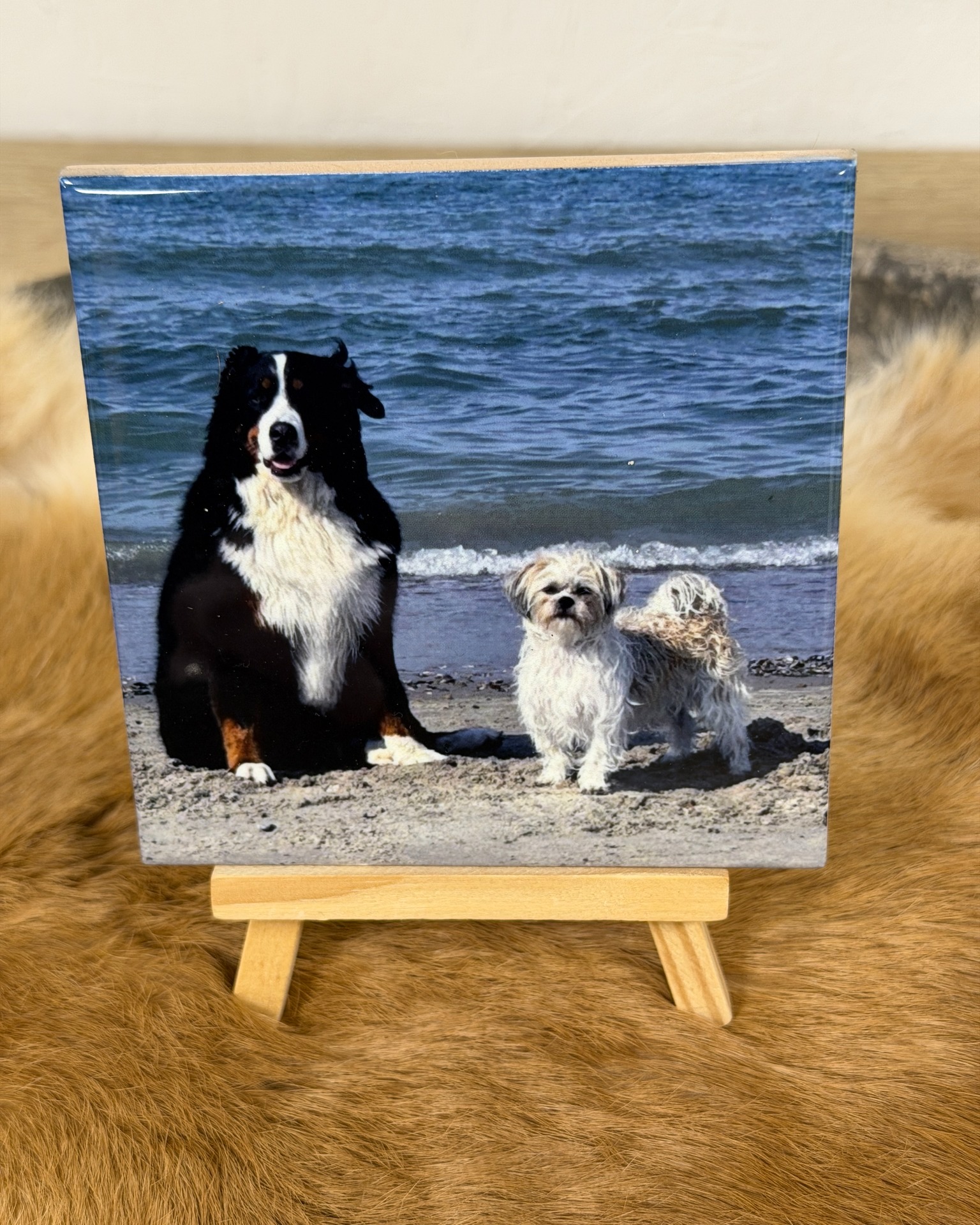 📣 Leuk nieuws uit de werkplaats ✨
Naast bedrijfskleding en relatiegeschenken kunnen we nu ook persoonlijke items maken waar je echt iemand mee verrast.
Denk aan 👇
💛 Een tegeltje met een tekst of foto
💛 Snijplanken met je eigen tekst
💛 Mokken met een quote, naam of beeld
Perfect als cadeautje, bedankje, jubileum of gewoon omdat het kan.
Wil jij iets laten maken en twijfel je over wat het leukste werkt? 📞 Bel ons gerust, dan denken we met je mee.
#inbeeldreclame #persoonlijkcadeau #tegeltjes #snijplank #mokken #sublimatie #cadeautip #logometimpact #relatiegeschenken #bedrukken