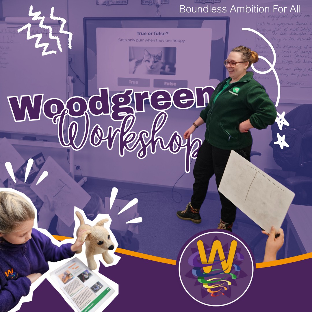 🐾 Thank you to @woodgreenpetscharity for running fantastic workshops with all year groups, helping our children learn how to care for pets responsibly and kindly. A brilliant experience for everyone! 🐾
(And did you guess the answer is false? Although cats usually purr when they’re happy, they can also purr when in pain or discomfort, often to calm themselves.)🐈
.
.
.
#woodgreenpetscharity #caringforpets #responsiblepetowner #kindness #care