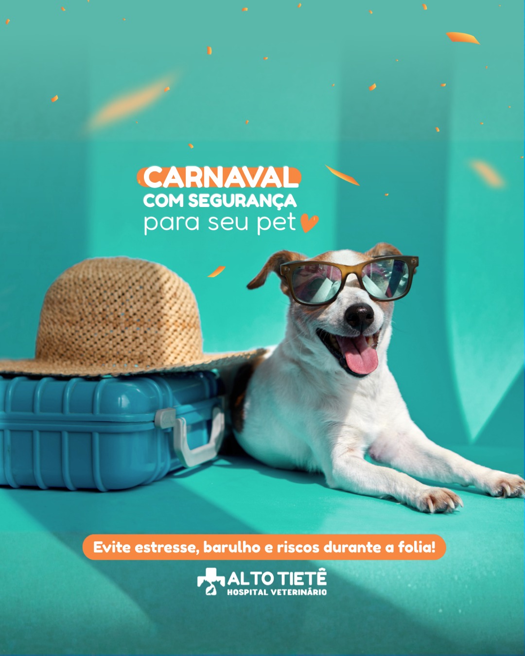 O Carnaval está chegando e pode ser superanimado para a gente… mas nem sempre é para os pets.
Barulho alto, aglomeração de pessoas e mudanças na rotina podem deixar seu animal estressado, ansioso ou irritado e em alguns casos até causar comportamentos inesperados ou fuga por medo do som intenso.
Dicas importantes para proteger seu pet:
- Mantenha seu pet em um ambiente calmo e seguro, longe de sons altos e multidões.
- Ofereça água fresca e sombra, principalmente se o clima estiver quente.
- Evite levar seu pet em blocos agitados; nem todo animal lida bem com barulho e confusão.
- Identificação atualizada (coleira/microchip) é fundamental caso ele se assuste e tente fugir.
- Se seu pet demonstrar sinais de estresse (tremores, esconderijo, latidos excessivos), deixe‑o descansar em um espaço tranquilo.
Lembre‑se: o bem‑estar dele vem antes da folia. Carnaval também pode ser celebrado com calma, carinho e segurança!
Hospital Veterinário Alto Tietê – Arujá/SP
Atendimento 24h para emergência de pets
#CarnavalPetSeguro #BemEstarAnimal #HospitalVeterinárioAltoTietê #EstresseEmPets #CuidadosComPet #Arujá