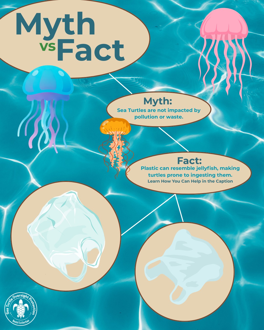 🚫 Myth: Sea turtles aren’t affected by pollution.
✅ Fact: To a sea turtle, a floating plastic bag can look just like a jellyfish… and one wrong bite can be deadly.
Plastic pollution doesn’t just clutter our oceans; it infiltrates the food chain and puts sea turtles and all marine life at constant risk. The good news? Small choices make a big splash. ♻️🌊
Skip single-use plastics, properly dispose of waste, and support conservation efforts that protect turtles at every stage of life. Shop the S.T.O.P. Shop for items that support a cleaner environment and are turtle safe! Visit our bio for more information.
🐢💚 Because what we leave behind matters.
#MythVsFact #SeaTurtleConservation #ResistExtinction #PlasticFreeOceans #ProtectOurTurtles