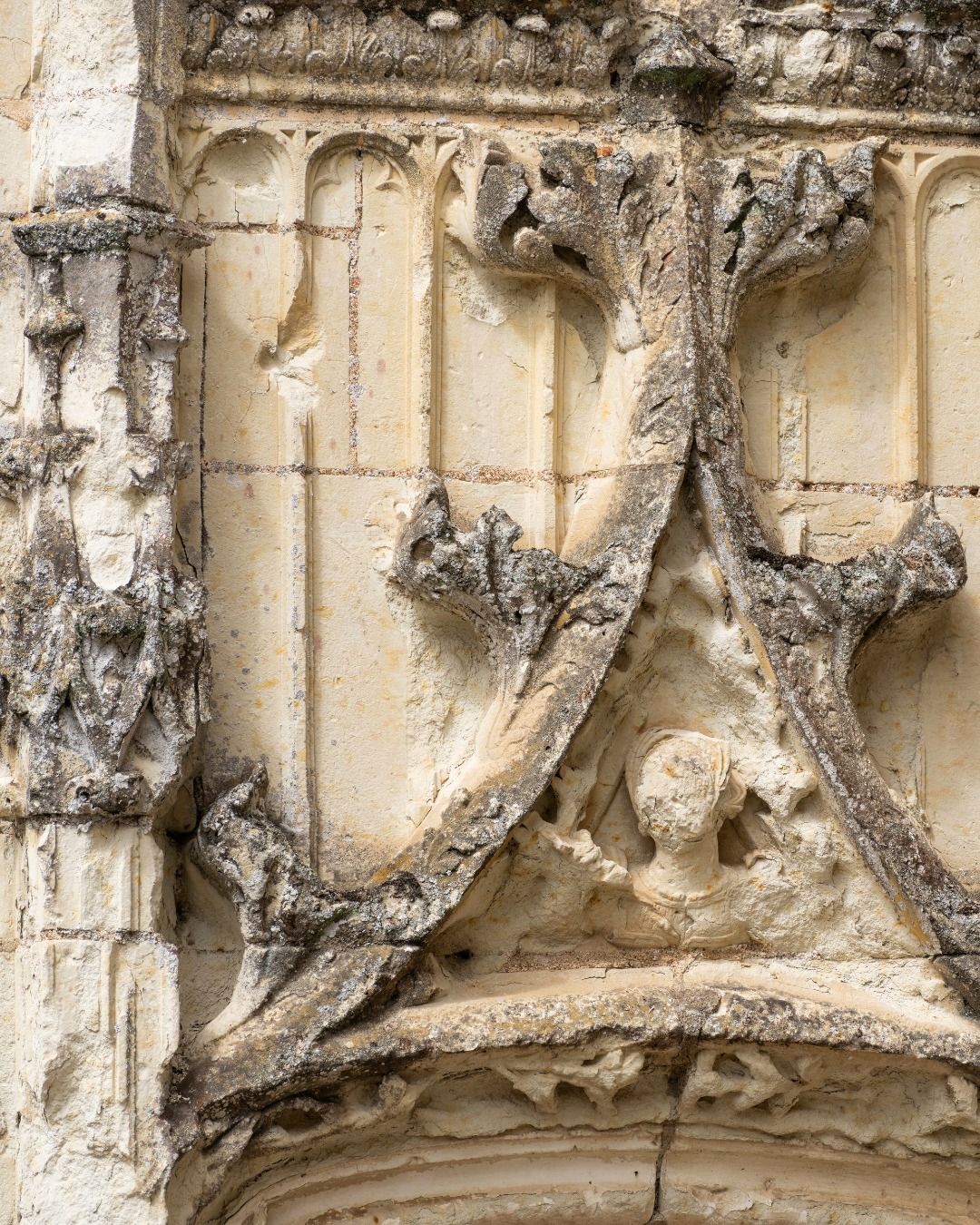 Le diable se cache dans les détails !
Avez-vous déjà remarqué ces détails au Château de Goulaine ?
Image n°1 : Détail du buste en relief au-dessus de la porte dite de Yolande
Image n°2: Détail du plafond à caisson en carton bouilli, Salon bleu
Image n°3: Détail des tonneaux dans la cave datant du XVe siècle
Crédits: Valérie Joncheray
