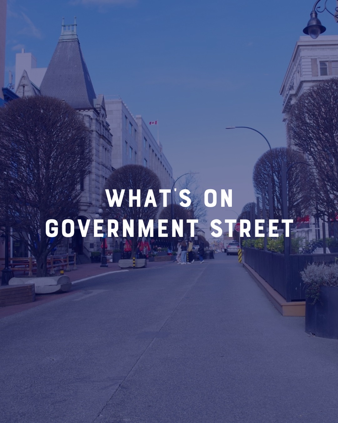 ✨ GOVERNMENT STREET @ Victoria at Dusk ✨
Explore an art installation and popups on the Wharf Street end of Government, plus discoveries in some of Victoria's businesses nearby.
Joshua Conrad – {de}fragmented
David Boon & Abbey Lee – Skynut in Puzzle Labs
Art Battle Pop-Up (Friday/Saturday)
PinDN and DJ Benny the Jet - Indigenous hip hop artist and DJ combo (Saturday 6, 7 and 8pm)
Check out the schedule and map at victoriaatdusk.ca 👀💫
#VictoriaAtDusk #GovernmentStreet #YYJEvents #PublicArt #WinterArts #VictoriaBC
