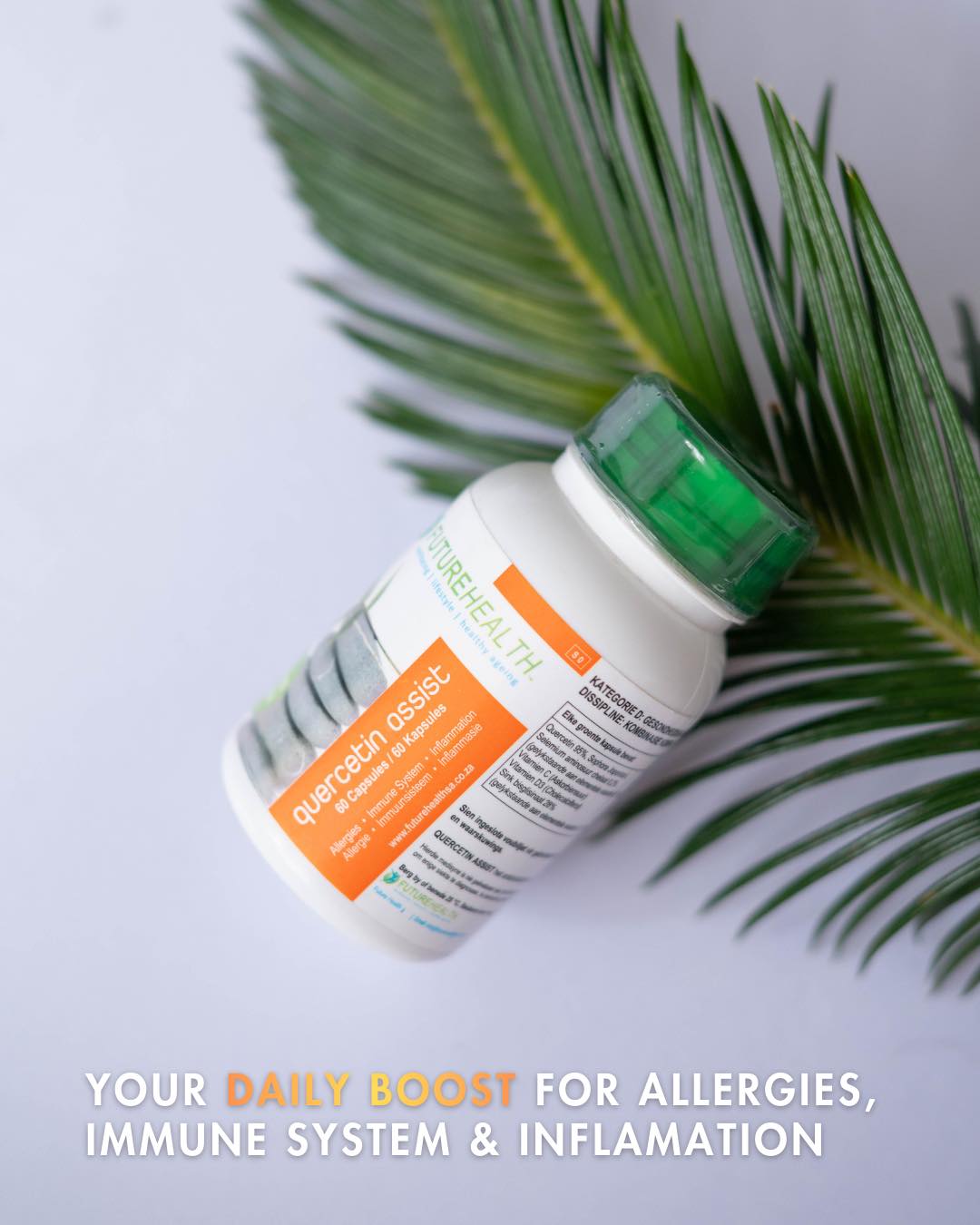 Support your body, allergies and inflammation with a daily boost you can trust. Future Health’s quercetin assists helps protect your body, reduce inflammation and promote healthy ageing.
Shop yours today: https://www.futurehealthsa.co.za/product-page/quercetin-assist
#futurehealth #healthsupport #immunityboost #healthyageing #wellnessdaily #supplements #everydayhealth