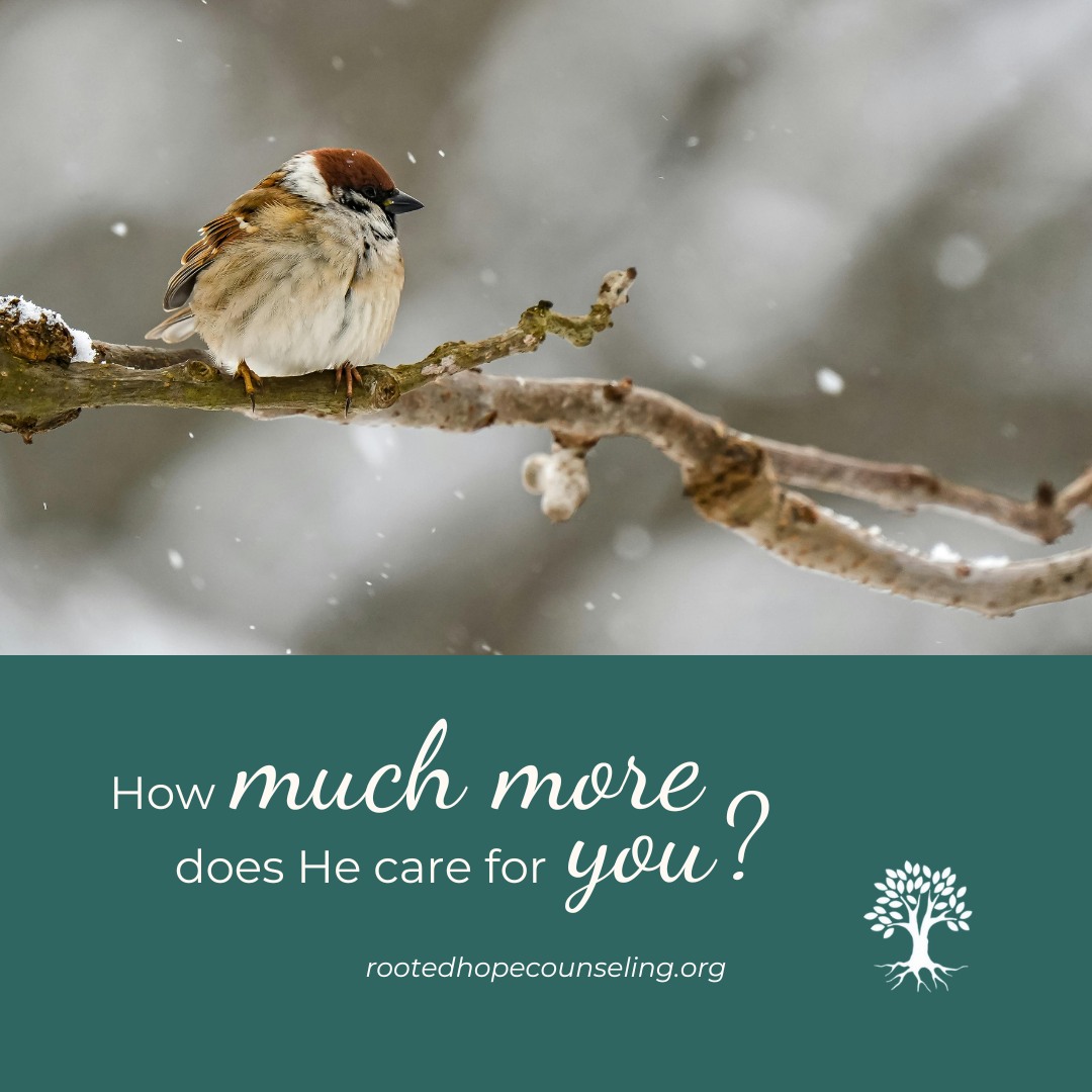 Even in winter, the birds are not forgotten.
They perch, they wait, they are sustained day by day.
If God cares so attentively for them, how much more does He care for you?
Rest in the truth that you are seen, known, and provided for even in seasons that feel sparse.
“Look at the birds of the air… your heavenly Father feeds them.”
Matthew 6:26
#RootedReflections #NatureAndFaith #GodProvides #WinterStillness #ScriptureInCreation #FaithInAllSeasons #ChristianCounseling #YouAreNotForgotten #RootedHopeCounseling