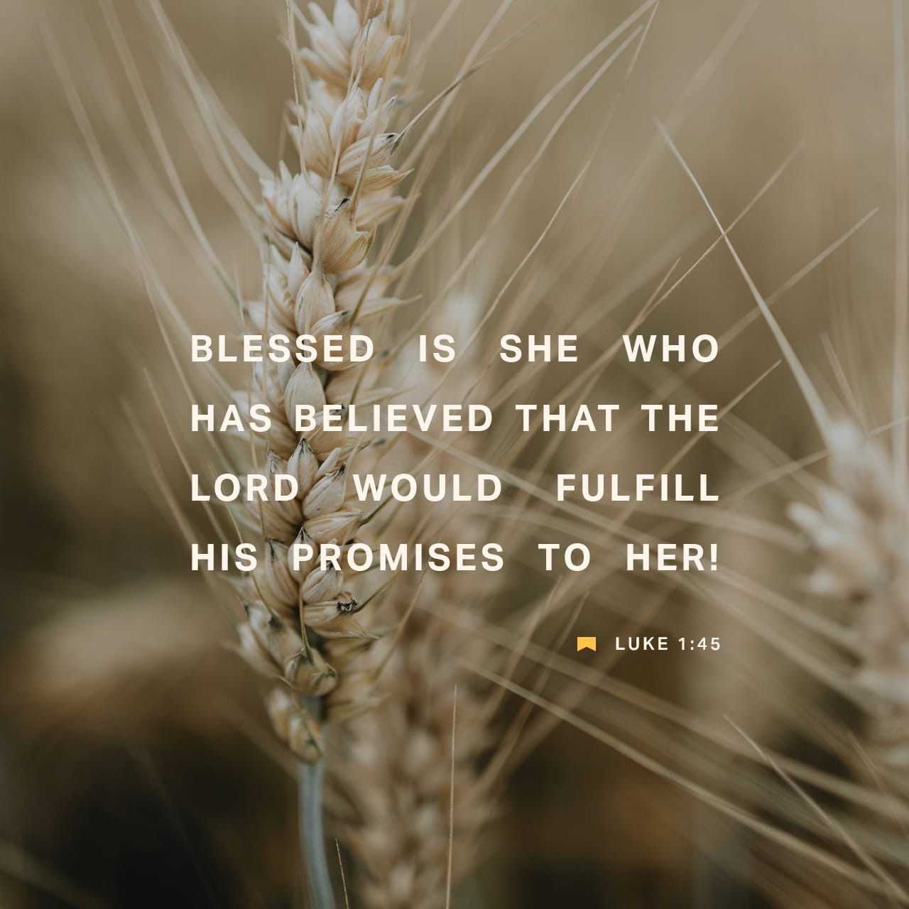 “Blessed is she who has believed that the Lord would fulfill his promises to her!”
— Luke 1:45✝️
Verse of the Day via @YouVersion
#Luke145 #BibleVerse #Faith #GodsPromises #ChristianEncouragement