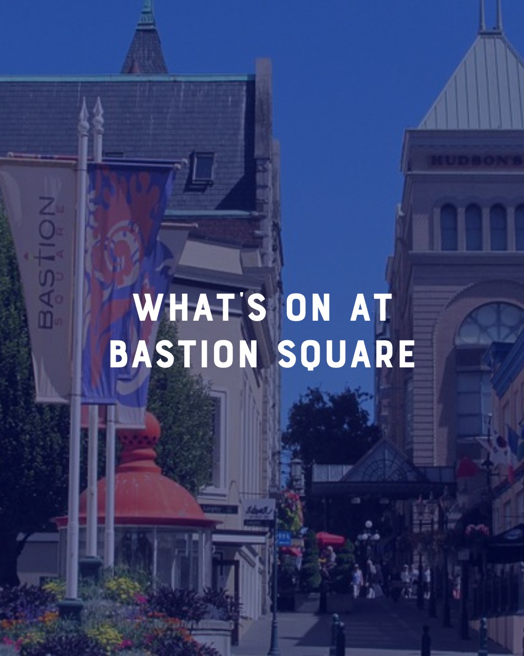 ✨ BASTION SQUARE @ Victoria at Dusk ✨
A zone of play and curiosity, explore nightly music, art, shopping + hidden gems.
Here’s what’s happening in Bastion Square during Victoria at Dusk, Feb 13 - 15, 5 - 9pm nightly:
Adrian Granchelli – Sonic Tapestry & Mimicry
Monkey C Interactive – Mutant Machines
Hololabs – Breakout: Virtual Portal
Jesse Campbell – Ancient Skies
The Wilder – Urban Bloom
Ben Z Cooper – Liminality
BSRA – Artisan Market
Francophone Society – Candlelit Fondue (Friday) & Francophone Artist Light Exhibition (Sunday)
Gage Gallery – Music + Valentines Cards (Friday - Dallas Segno & Saturday - Kai Rae Khushi) + celebration (Sunday)
Coulee Ross – Freq Silent Disco (Sunday)
Sarah Hin Ching U. – US Beneath Currents (Friday & Saturday)
Morphaces – Tethered Cell (Saturday)
Hidden Victoria – Walking Tours (5.30 and 7pm by donation)
Pop around the corner to visit "Lost in Transmission" by Joshua Ngenda visible from the exterior of Open Space, and window art by Peony Ng at the Victoria Arts Council
This zone is a full mini-festival on its own! Bring a friend and make a night of it.
@monkeycinteractive @hololabs.studio @jesc_art @tahlumiac @thewilder.experience @benzcooper @bastionsquare.market @sfvictoria.ca @gage_gallery_arts @sarahuu__ @morphaces.movement @hidden.victoriaca @openspacevic @victoriaartscouncil
#VictoriaAtDusk #BastionSquare #YYJEvents #LightArt #NightMarket #SilentDisco #WinterFestival