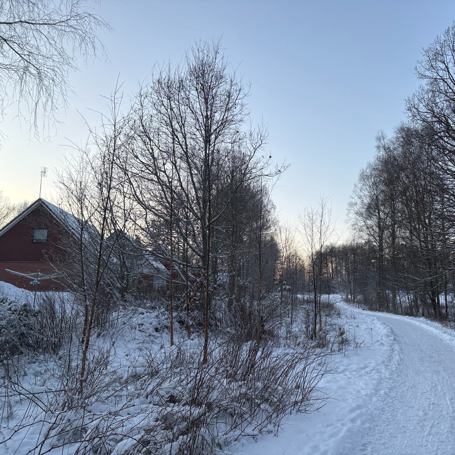 This week brought moonlit nights, frozen lakes, and winter trails through silent forests. Nature is great. 🤍🩵