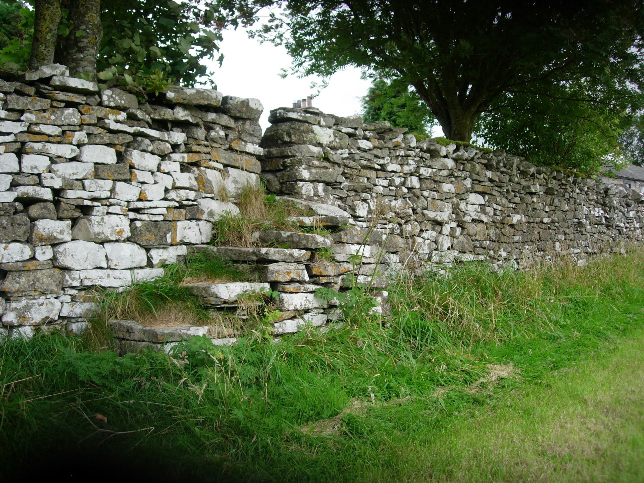 🌿 Ronnie’s Stile of the Month 🌿
Ronnie’s fascination with stiles shines through in her many writings, where she explores their unique place in countryside architecture and voices her concern that these timeless features may one day disappear. To celebrate her passion and preserve their memory, each month we share a stile from Ronnie’s Collection.
💌 February’s stile sits quietly amongst the trees, waiting for walkers with rosy cheeks and muddy boots. Weathered by time yet steadfast in charm, this old is a simple sculpture of countryside beauty, its worn stone carrying the stories of countless journey.
Another gem from Ronnie’s collection, do you know where this stile might be?
www.ronniesramblings.co.uk
#StileOfTheMonth #RonniesCollection #CountrysideCrossings #StileStories #CountryPathsAndStiles #WhereIsThisStile #RonniesRamblings