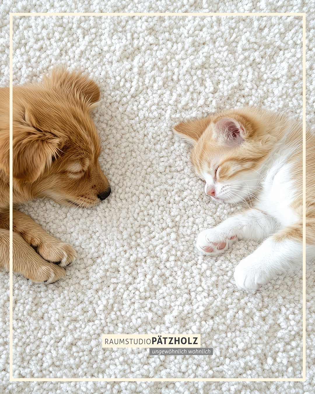 Hochwertiger Teppichboden! ✨🏡
Wenn der neue Teppichboden von Raumstudio Pätzholz viel zu gemütlich ist...
Aus unserer vielfältigen Auswahl finden wir sicher auch den perfekten Bodenbelag für Dein Zuhause!
Ungewöhnlich wohnlich:
www.raumstudio.com
#raumstudio #raumplanung #raumplaner #raumstudiopätzholz #teppichboden