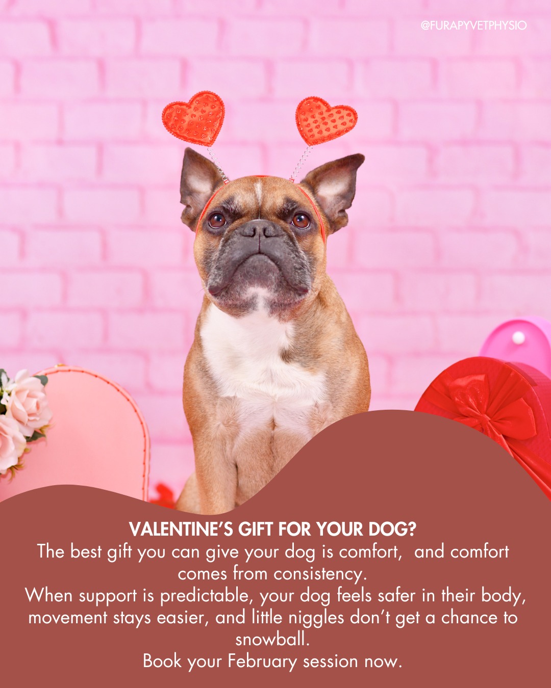 Treat your pet to quality care this Valentines 💕
ANY pet can benefit from physiotherapy care, whether it is helping your aging pet from slowing down, helping your pet through a diagnosed condition, or even an "MOT" for active healthy pets to prevent injuries down the line.
We have a few slots left for February, so why not treat your much loved pet to some real TLC with a Furapy physio session?
Contact us now to book!