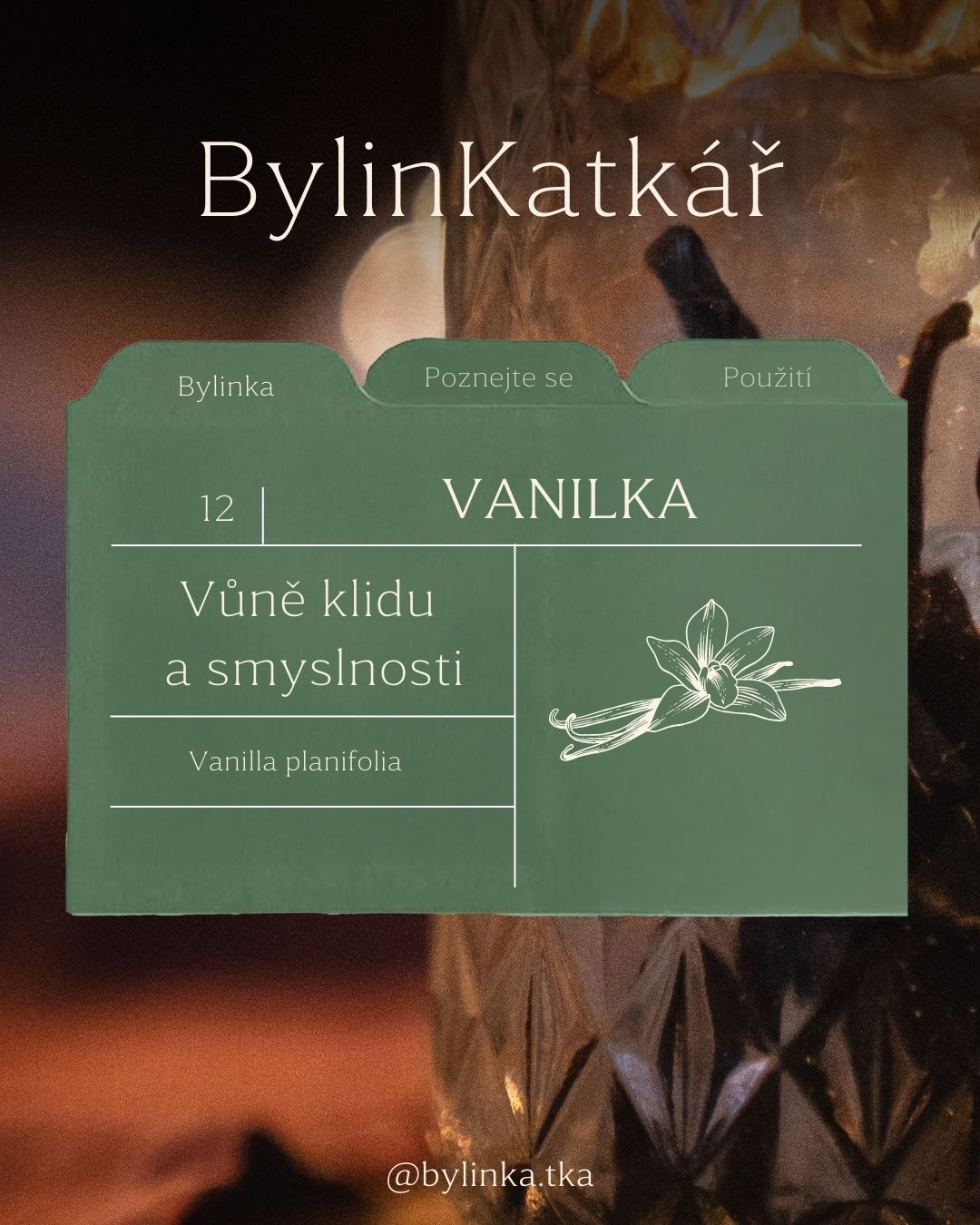 🌿 Nový díl BylinKatkáře - Vanilka!
Vanilka je spojovaná s pocitem bezpečí, klidu a vnitřního tepla.
Pomáhá zklidnit roztěkanou mysl, uvolnit napětí
a vrátit nás zpátky k sobě.
V novém díle se dozvíš:
– odkud vanilka pochází a proč byla kdysi tak vzácná
– jak se používá v aromaterapii
– kdy po ní sáhnout a komu může být oporou
– návod na vanilkový rituální olej
👉 Užij si dnešní díl a napiš mi do komentáře, jaká další bylinka by tě zajímala příště!
#bylinkatkar #vanilka #aromaterapie #bylinky #eterickeoleje #bylinkatka