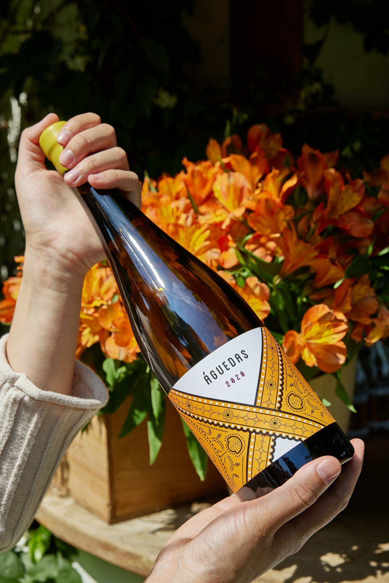 🇪🇸 Cada 5 de febrero se celebra Santa Águeda, una tradición popular donde las mujeres toman el mando 👩 En Bodegas Fariña quisimos rendirle homenaje a esta tradición con un vino: Águedas.
Elaborado con malvasía y criado en barrica. Un blanco con carácter, identidad y mucha personalidad ✨ ¡como lo son las mujeres que nos rodean!
Además, hemos creado un pack perfecto para regalar este día: Estuche de 3 botellas + visita para 2 ¡Encuéntralo en nuestra web!