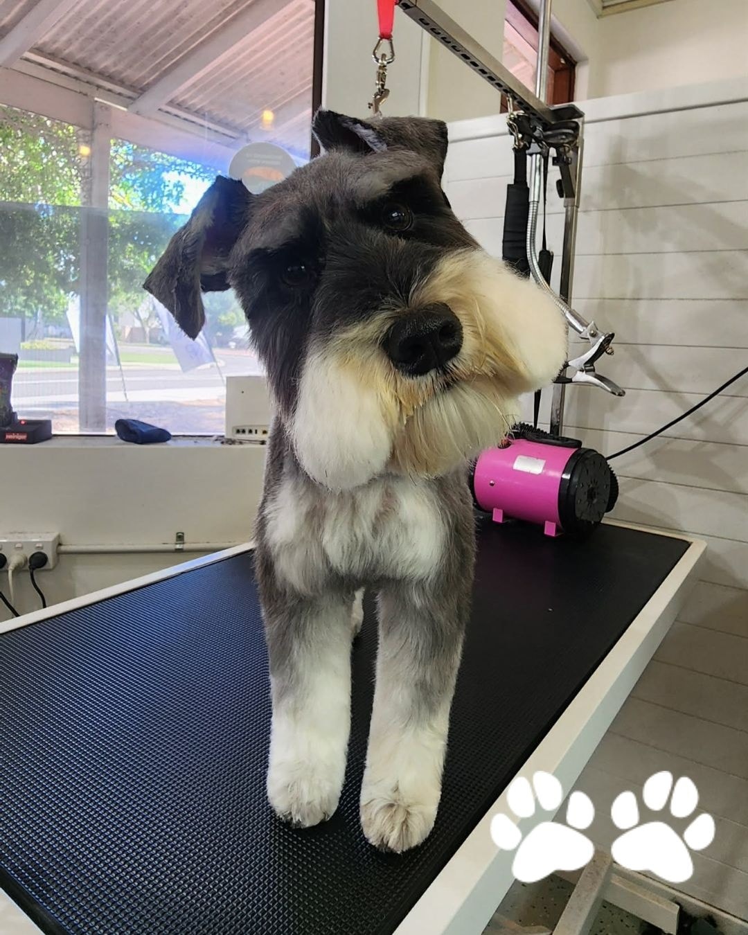 Love a good head tilt 😉🥰