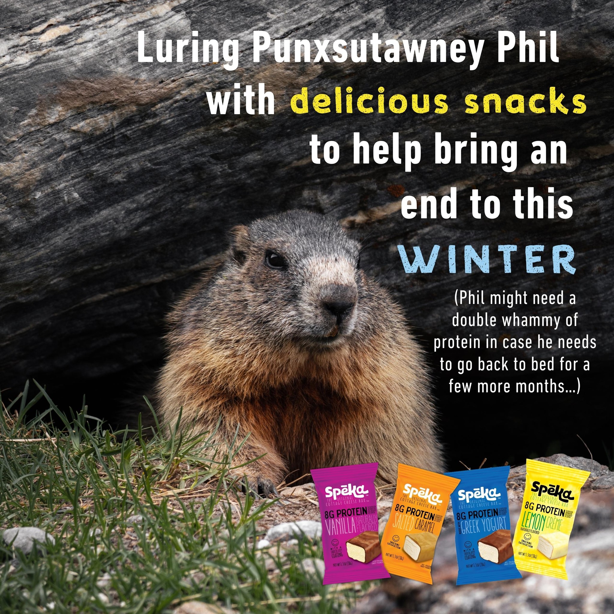 Looks like Punxsutawney Phil might need a little extra motivation this year… 👀
We’re luring him out with delicious snacks and protein power in hopes of calling an early end to winter.
No promises, Phil—but 8 grams of protein and cottage-cheese goodness in every bite might just do the trick. 😄 Who’s ready for spring?
#GroundhogDay #PunxsutawneyPhil #WinterSnacking #ProteinPowered #Speka #SnackSmart #BetterSnacking #CottageCheesePower #EndWinterEarly #FebruaryFeels