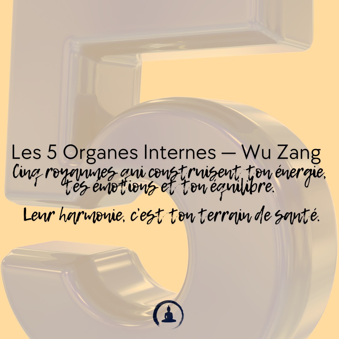 Les 5 Organes Internes — Wu Zang 五脏
Cinq royaumes qui construisent ton énergie, tes émotions et ton équilibre.
Leur harmonie, c’est ton terrain de santé.
Cœur ❤️ – Feu 🔥
Le souverain.
Il gouverne le sang et éclaire la conscience.
Un Cœur harmonieux → esprit clair, joie stable, sommeil profond.
Un Cœur agité → mental désordonné, palpitations, insomnie.
Foie 🌿 – Bois 🌳
Le général.
Il assure la libre circulation du Qi, du sang et des émotions.
Foie fluide → créativité, vision, souplesse, planification.
Foie bloqué → irritabilité, tensions, migraines, PMS.
Rate 🍃 – Terre 🌍
La nourricière.
Elle transforme les aliments en énergie et stabilise le corps.
Rate forte → énergie, concentration, digestion fluide.
Rate faible → fatigue, lourdeur, humidité, ruminations.
Poumon 💨 – Métal ⚪️
Le ministre.
Il respire, protège, organise et gère l’immunité.
Poumon solide → souffle profond, défenses fortes, capacité à lâcher.
Poumon faible → tristesse, fragilité immunitaire, oppression thoracique.
Rein 💧 – Eau 🌊
La racine.
Il garde le Jing, la volonté et l’énergie profonde.
Rein équilibré → ancrage, chaleur interne, solidité, confiance.
Rein faible → froid interne, fatigue chronique, anxiété, lombalgies.
Les 5 Zang travaillent ensemble :
ils se nourrissent, se modèrent, se soutiennent.
Harmoniser tes organes,
c’est cultiver une santé qui dure, une véritable prévention.