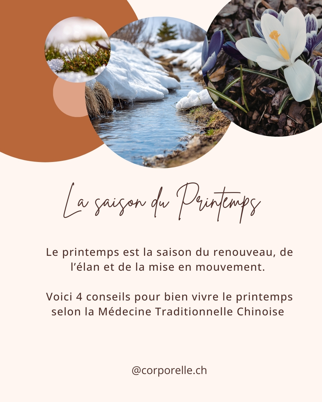🌸 Bien vivre le printemps selon la Médecine Traditionnelle Chinoise 🌸
Le printemps est la saison du renouveau, de l’élan et de la mise en mouvement. Après l’introspection de l’hiver, l’énergie remonte et invite à s’ouvrir, à croître et à se déployer 🌱
Voici quelques clés pour accompagner cette transition en douceur :
✨ • Alimentation légère et vivante
Privilégier les aliments frais, les légumes verts, les pousses, les herbes aromatiques et les cuissons douces. Ils soutiennent le Foie et la Vésicule Biliaire, favorisent la circulation de l’énergie et aident le corps à se libérer des stagnations hivernales.
🤝 • Ouverture & échanges
Le printemps nous invite à aller vers l’extérieur, à renouer avec le mouvement et le lien. Sortir, marcher, partager, créer… Nourrir les relations soutient l’élan du cœur et accompagne l’énergie ascendante de la saison 🌼
🌬️ • Souplesse et mouvement
Qu’est-ce qui aide le corps à se sentir plus fluide ?
Étirements doux, respiration, mouvements lents, temps dans la nature… Tout ce qui favorise la circulation et la détente soutient l’énergie du printemps.
🧭 • Élan juste et écoute
Même si l’énergie revient, il est important de ne pas brûler les étapes. Avancer progressivement, respecter son rythme et écouter ses besoins permet d’éviter tensions et fatigue. Le printemps est une naissance, pas une course.
🌿 Accompagner le printemps, c’est permettre à son énergie de circuler librement et de s’exprimer pleinement.
✨ Et si vous ressentez l’envie d’un temps pour vous, je vous accueille avec plaisir pour un soin
📍 Cabinet Corporelle.ch – Brigitte Borloz – Hameau de la Gare - Les Diablerets
🌐 Réservation en ligne : www.corporelle.ch/reservations
📱 Pour me joindre : +41 77 481 02 85 ou email : info@corporelle.ch
Thérapeute agréée ASCA et RME (selon les soins)
ARCAD Les Diablerets
Les Diablerets - Switzerland
@therapeutes.ch