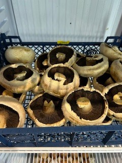 This weekend 4 flat mushrooms for £1.00. Fry up anyone! 😋