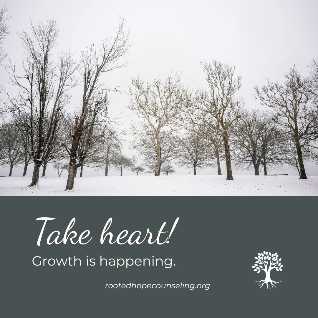 The branches are bare.
The landscape looks still and yet the roots remain. They are deep, steady, and alive.
Jeremiah reminds us that those who trust in the Lord are like trees planted by water,
sending roots beneath the surface and unmoved by the changing seasons.
If this feels like a winter season in your life (both literally and metaphorically), take heart.
What is rooted in God does not wither.
Even now, growth is happening where you cannot see it.
“Blessed is the one who trusts in the Lord, whose confidence is in him.”
Jeremiah 17:7–8
#RootedInHim #FaithInWinter #UnseenGrowth #NatureAndScripture #TrustTheLord #StillBecoming #ChristianReflection #RootedHope #ChristianCounseling #RootedHopeCounseling