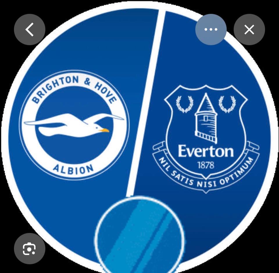 Good luck to the Seagulls today !!!