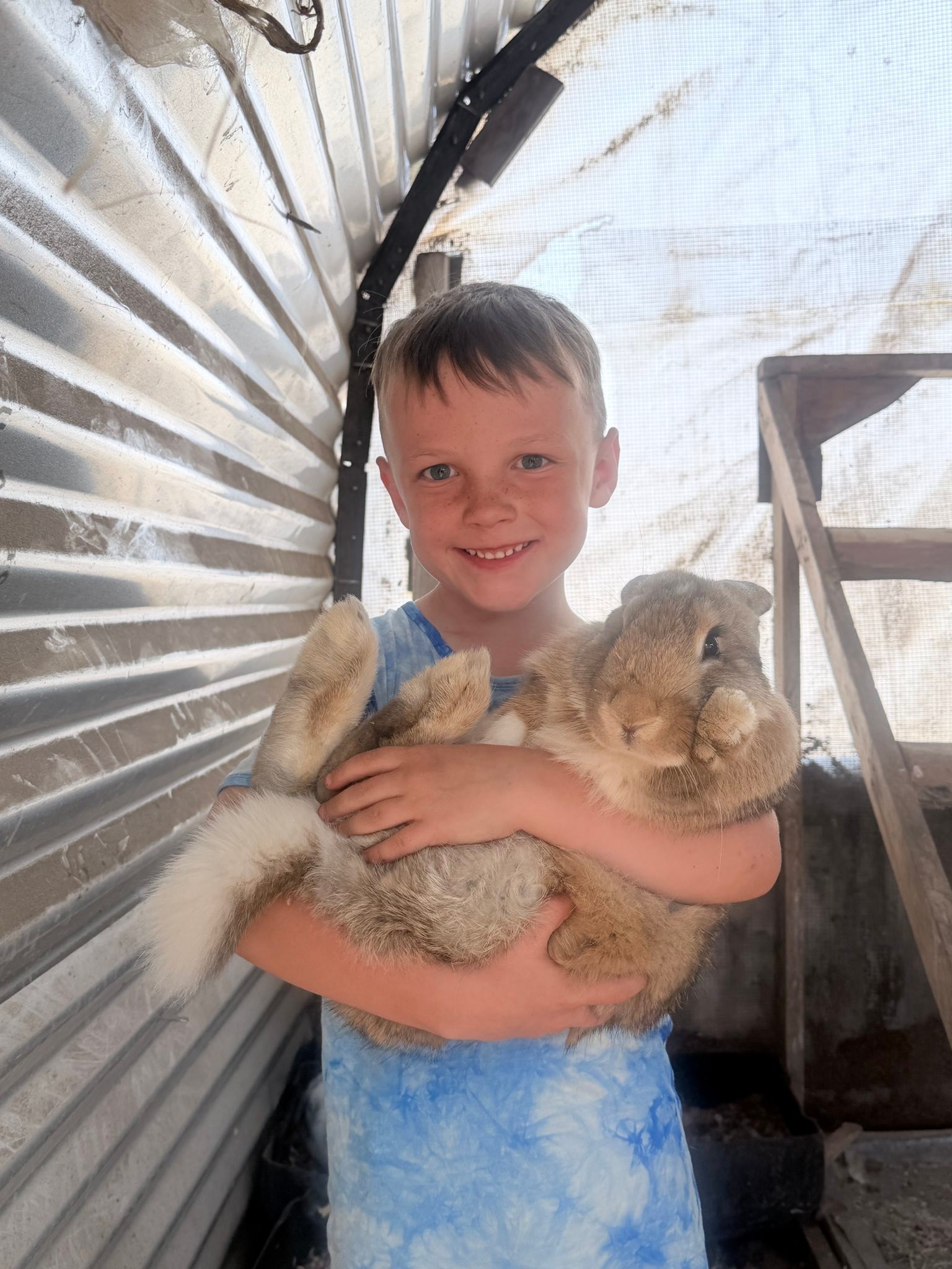 Our rabbits are doing great and getting big!!! The are almost 4 months. Just a couple more months and we can start breeding 👏🏼
The church building is going up BEAUTIFULLY 🥰
All is well in the bush