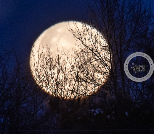 Full moon 2126. #fullmoon #astrologyposts #landscapephotography