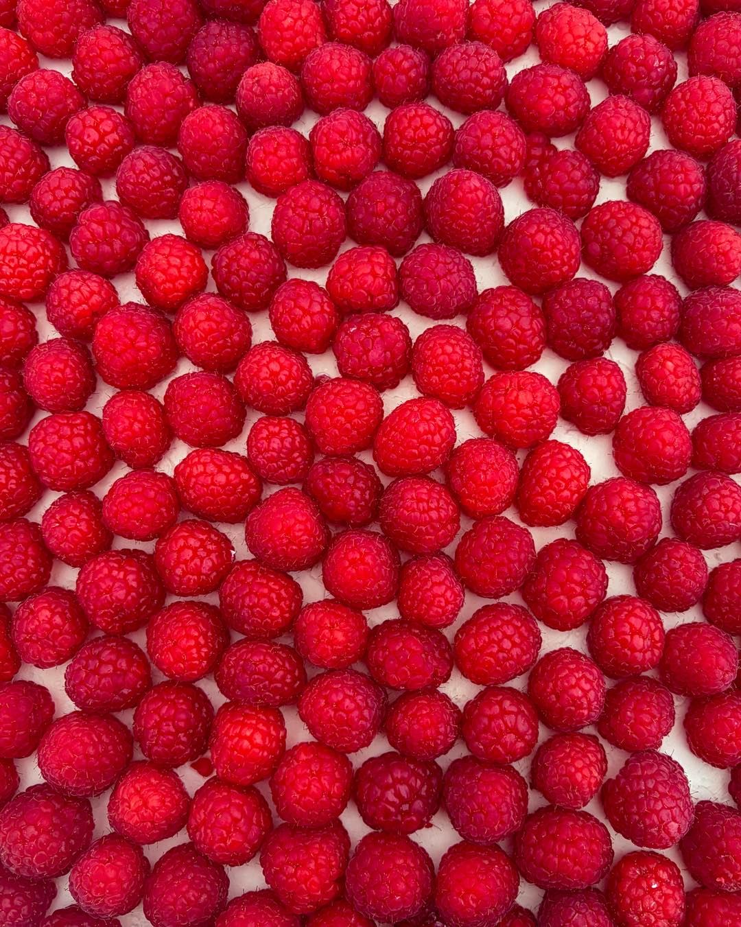 Simple. Fresh. Beautiful
#cake #amberblossomcakes #shoalhaven #southcoastcakes #WeddingCakes #cakedecorating #localbusiness #smallbusinesses #SouthCoastWeddings