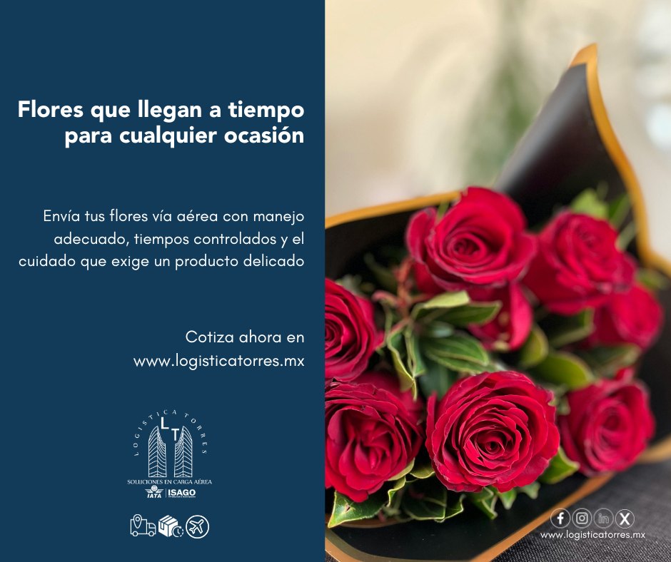 🌸✈️ Flores que llegan a tiempo para cualquier ocasión
Cuando cada detalle cuenta, el tiempo y la frescura lo son todo.
Envía tus flores vía aérea con manejo adecuado, tiempos controlados y el cuidado que exige un producto delicado.
En Logística Torres gestionamos el traslado de flores con procesos diseñados para conservar su calidad desde el origen hasta el destino.
📲 Contáctanos y asegura tus envíos florales.
🌸 Frescura que sí llega.
.
.
.
.
#EnvíoDeFlores #CargaPerecedera #LogísticaAérea #FloresFrescas #EntregasATiempo #LogísticaProfesional #CualquierOcasión #tucargasegura #tucargasegurayatiempo #logistica #volariscargo #logisticaytransporte #SomosLogisticaTorres #enviosnacionales