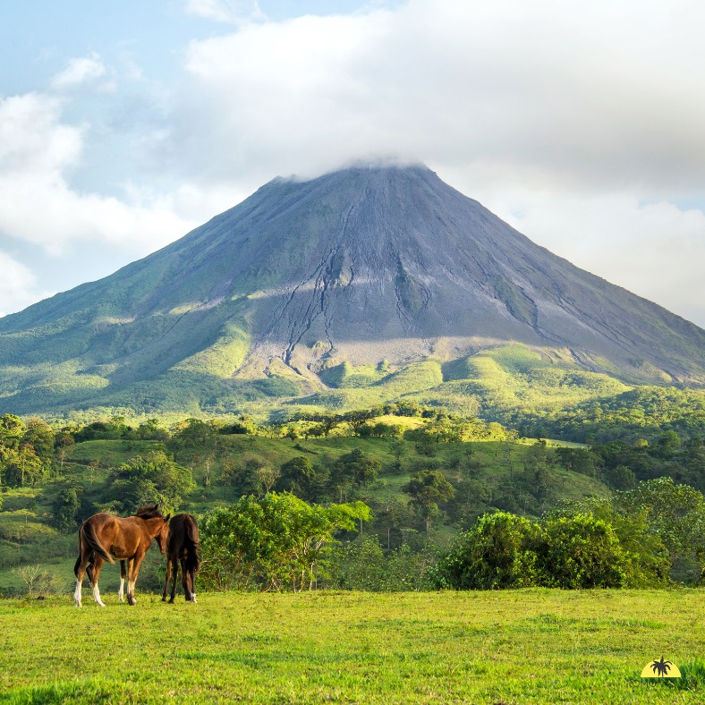 𝐂𝐨𝐬𝐭𝐚 𝐑𝐢𝐜𝐚 : 𝐥’𝐚𝐯𝐞𝐧𝐭𝐮𝐫𝐞 𝐚𝐮 𝐜𝐨𝐞𝐮𝐫 𝐝𝐞 𝐥𝐚 𝐧𝐚𝐭𝐮𝐫𝐞
Le Costa Rica est un véritable terrain de jeu pour les amoureux de nature et d’expériences authentiques. Pars à la découverte des volcans, explore la forêt tropicale sur des ponts suspendus, observe la faune sauvage lors d’excursions guidées et profite des plages du Pacifique ou des Caraïbes pour te détendre ou t’essayer au surf.
Randonnées, tyroliennes, sources chaudes, parcs nationaux et balades en bateau à travers la mangrove rythment un voyage aussi actif que dépaysant. Info insolite : le Costa Rica abrite près de 6 % de la biodiversité mondiale, malgré sa petite taille. Un paradis naturel à explorer à ton rythme.
#CostaRica #PuraVida #VoyageNature #Aventure #VoyageSurMesure #Biodiversité #ÉvasionTropicale #romontregion