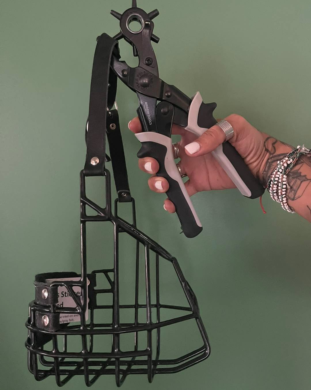 Muzzle Monday: When fitting muzzles, sometimes the holes that come pre punched aren’t always the best fit. Sometimes we need something in between if they are spaced too far apart and sometimes we need to make the muzzle even smaller than what it already can go to. And since a lot of muzzles have rubber or leather neck straps, carrying a leather hole puncher is a must for me. It’s quick, it’s easy, and it offers the opportunity to further customize your dog’s muzzle.
#RotNDog #RotNDogTraining #dogtrainer #dogtraining #dogbehavior #soflo #palmbeach #broward #puppies #puppytraining #gooddog #goodpuppy #obedience #aggression #fear #anxiety #behavior #training #muzzle #adopt #rescue #shelterdogs #dogswhobite #muzzlemonday