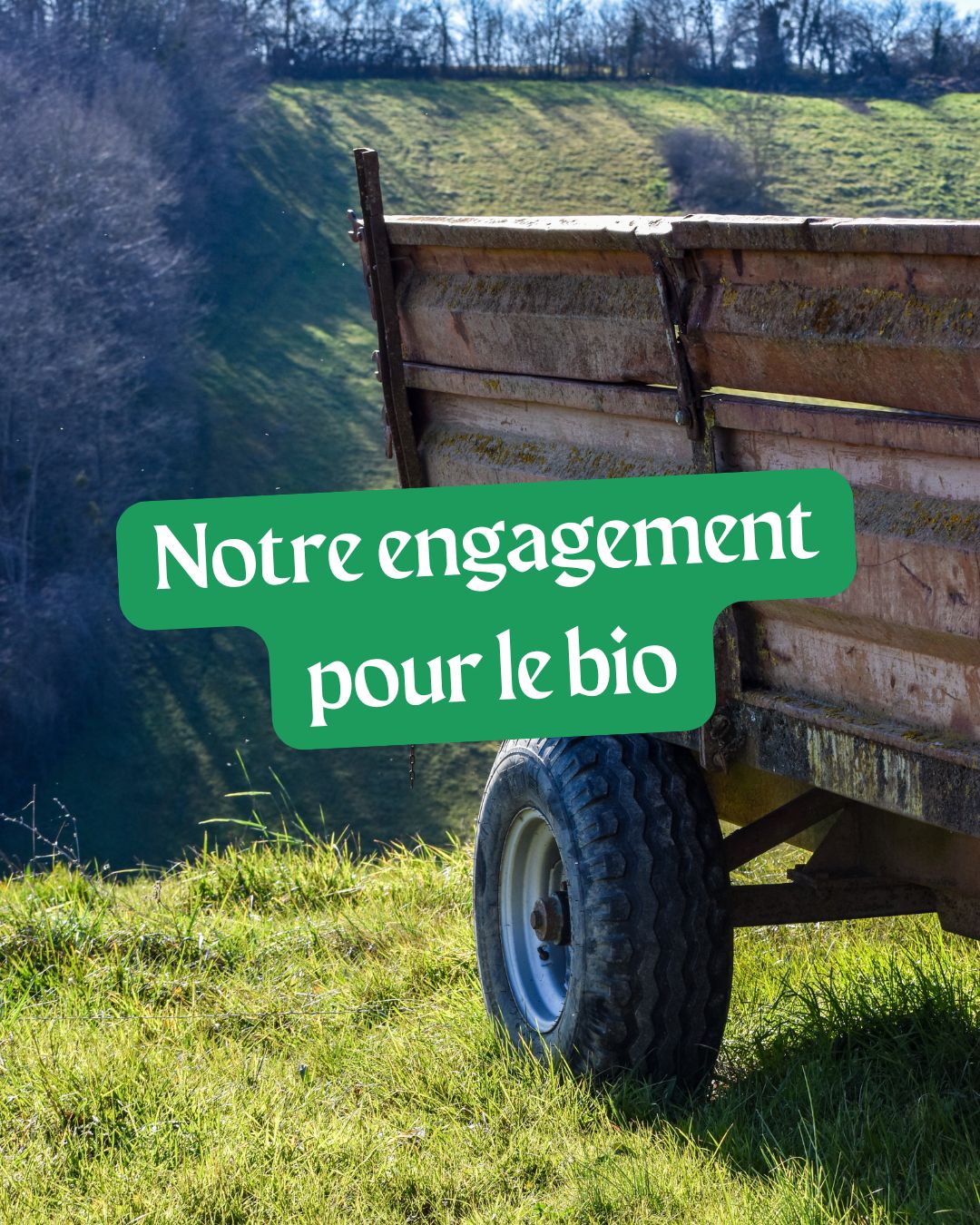 L'engagement bio chez Biochamps c'est :
🥛 Du lait local
🧑🌾 Le lien avec nos éleveurs
🍽️ De délicieux produits !
#biochamps #laiterieartisanale #ariegepyrenees #madeinsudouest #biodepuis1982 #vacheetbrebis