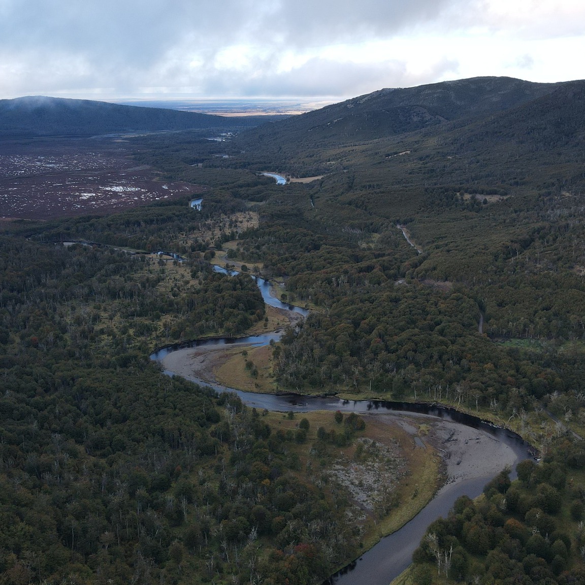 Entender la geomorfología y la hidrología de nuestros cursos hídricos es vital para su defensa. Un río sano es el resultado de una gestión territorial técnica y comprometida. En el Rubens, analizamos desde el sedimento hasta las riberas para proponer modelos de desarrollo que respeten la naturaleza intrínseca del agua.
#Geomorfología #Hidrología #RecursosHídricos #GestiónTerritorial #Conservación #MedioAmbiente #RíosSanos #Sostenibilidad #ProtecciónAmbiental #AguaParaElFuturo
----------------------------------------------------------------------
Understanding the geomorphology and hydrology of our waterways is vital for their defense. A healthy river is the result of technical and committed territorial management. At Rubens, we analyze everything from sediment to riverbanks to propose development models that respect the intrinsic nature of water.
#Geomorphology #Hydrology #WaterResources #LandManagement #Conservation #Environment #HealthyRivers #Sustainability #EnvironmentalProtection #WaterForFuture