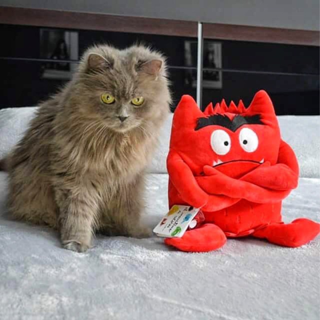 ❤️HARAG❤️ Akkor érzi jól magát, ha foglalkoznak vele!
Minél több érzelem, annál nagyobb kedvezmény 🧸Február 14-ig 25–40% kedvezmény minden Színszörny plüssre a Labirintus webshopjában és műhelyében
💗1 érzelem –25%
💗💗2 érzelem –30%
💗💗💗3 vagy több érzelem –35%
A 6 darabos teljes Színszörny-szettet február 14-éig az eredeti 59 400 Ft helyett 35 000 Ft-ért vehetitek meg – a készlet erejéig.
Nincs kuponkód: csak tedd őket kosárba, és a kedvezmény automatikusan megjelenik 💫
Érzelmek és színek:
💗Szeretet – rózsaszín
💚Nyugalom – zöld
💛Öröm – sárga
❤️Harag – piros
💙Bánat – kék
🖤Félelem – szürke
👉További részletek az akcióról a biónkban!
#színszörny #harag