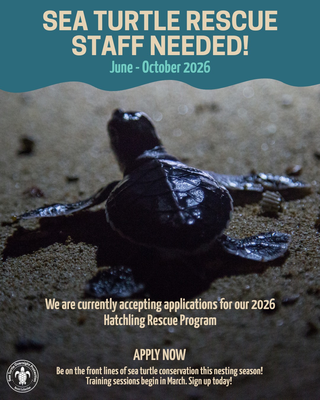 Nesting season is approaching, and volunteer applications are now open! From beach monitoring to education and outreach, our volunteers are the heartbeat of S.T.O.P.’s mission.
No experience required. Just commitment and care.
💚 Training provided
🐢 Real impact
🌊 Community-driven conservation
👉 Apply today.
Check out our volunteer application by visiting our bio link.
#fortlauderdale #conservation #Volunteer