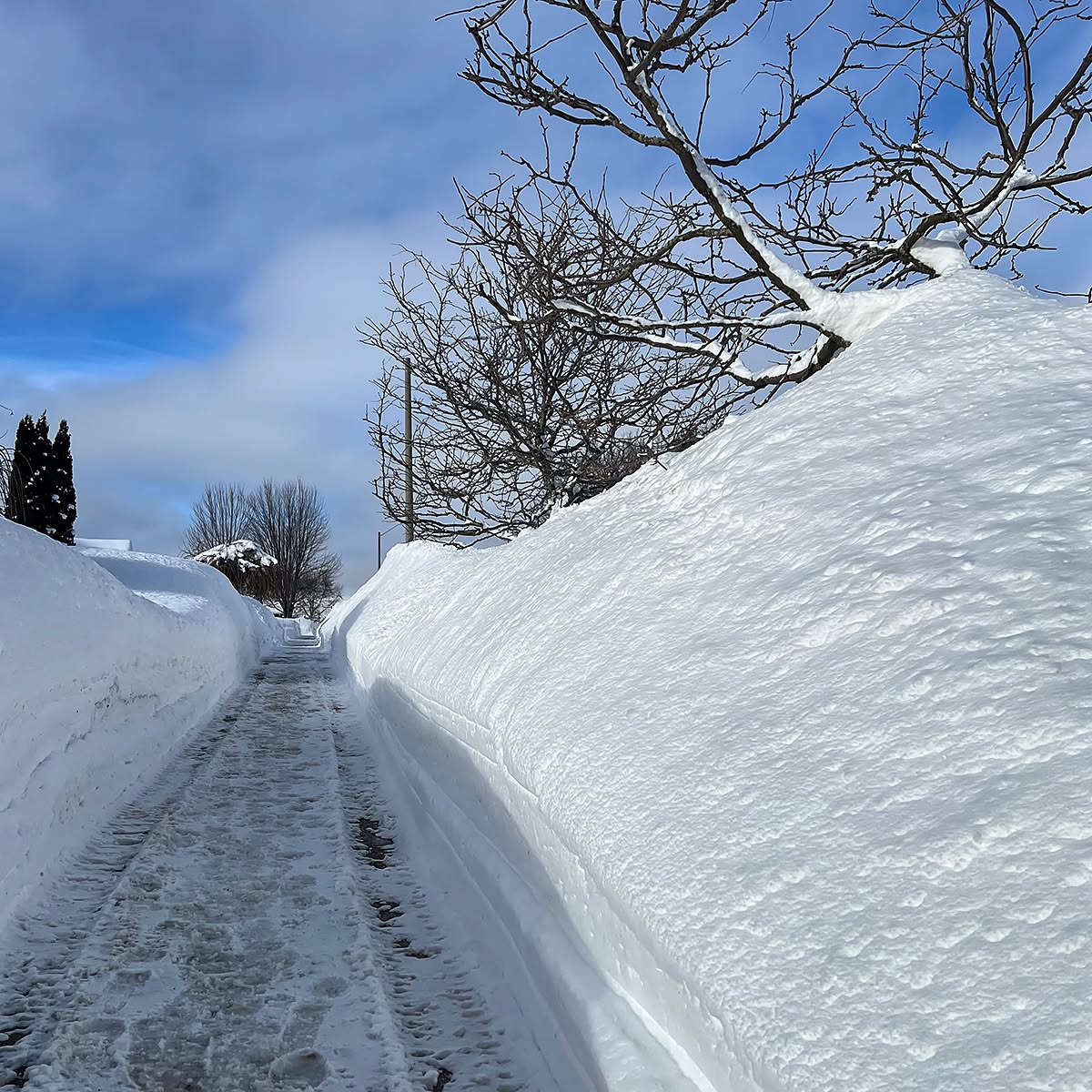 We've had over 305 centimetres of snow in our town ... we're ready for spring.