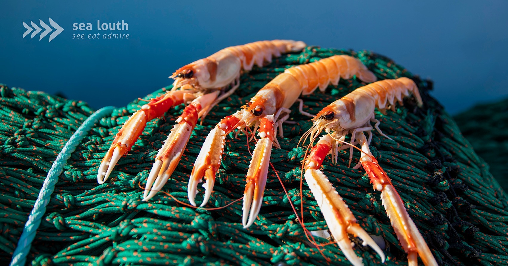 Rooted in the sea and shaped by generations 🌊🦐
Clogherhead Fishermans Co-Op began its journey in 1999 and today brings together a fleet of modern boats, owned and operated by local families from Clogherhead, some now in their ninth generation of fishing.
Freshness is at the heart of everything they do. Thanks to Ireland’s close proximity to the main prawn fishing grounds, seafood is handpicked at sea and quickly frozen onboard, ensuring exceptional quality, freshness and full traceability from sea to shore 🚤❄️
Quality, provenance and responsibility guide every catch. The co-op proudly fishes in a responsible way, fully aware that the sea is a precious and limited resource, with all boats operating under strict HACCP and environmental management systems 🌍
https://www.sealouth.ie/clogherhead-fishermans
#SeaLouth #IrelandsAncientEast #KeepDiscovering #See #Eat #Admire #ScenicSeafoodTrail #Clogherhead #IrishSeafood #CoastalHeritage #FreshFromTheSea
Credit SeaLouth and Fisherman Co-op