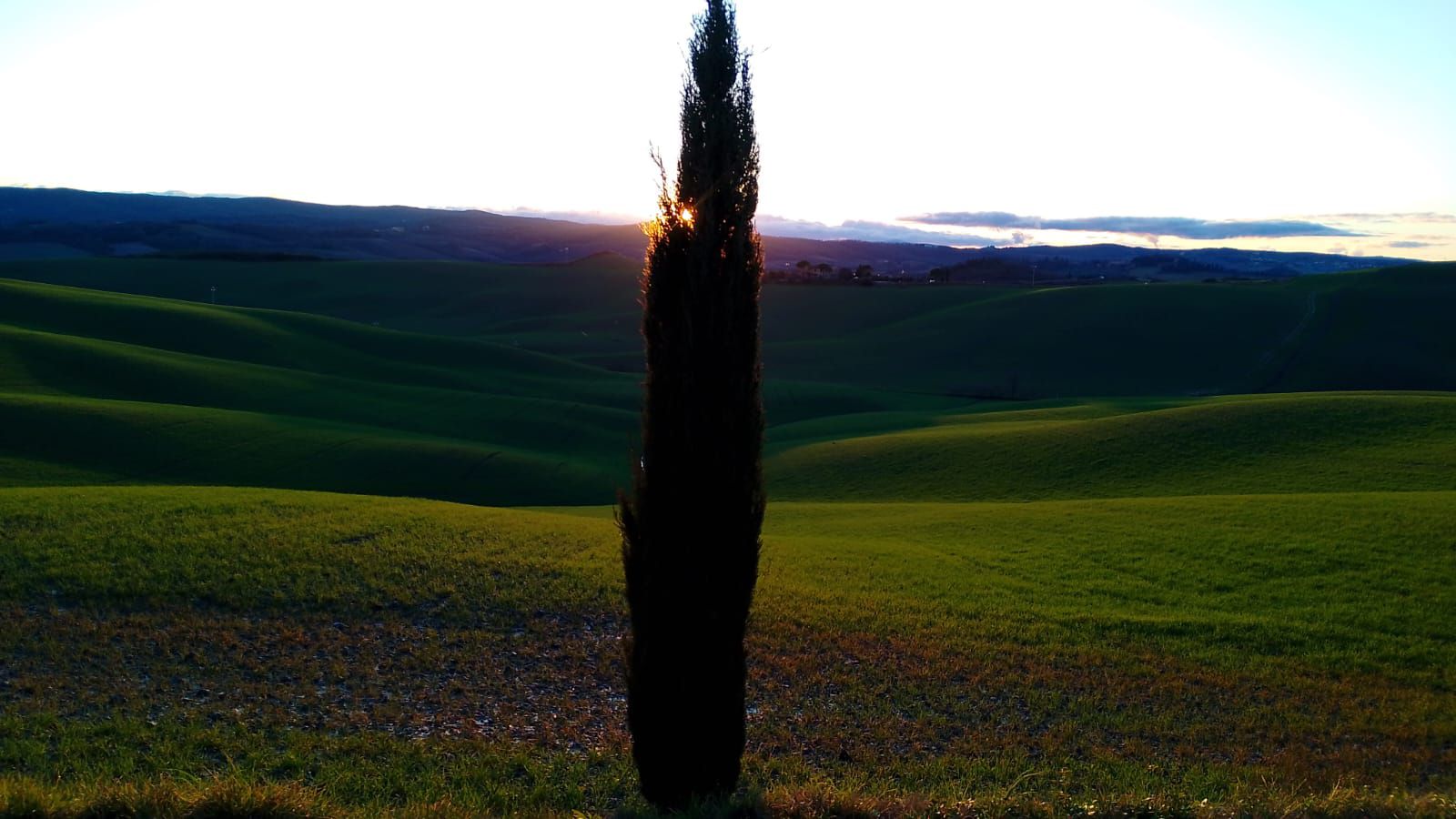 sei lì, a sistemare
i tuoi cunicoli
e dal fuori senti
come chiamarti
per nome
É quasi
Primavera.