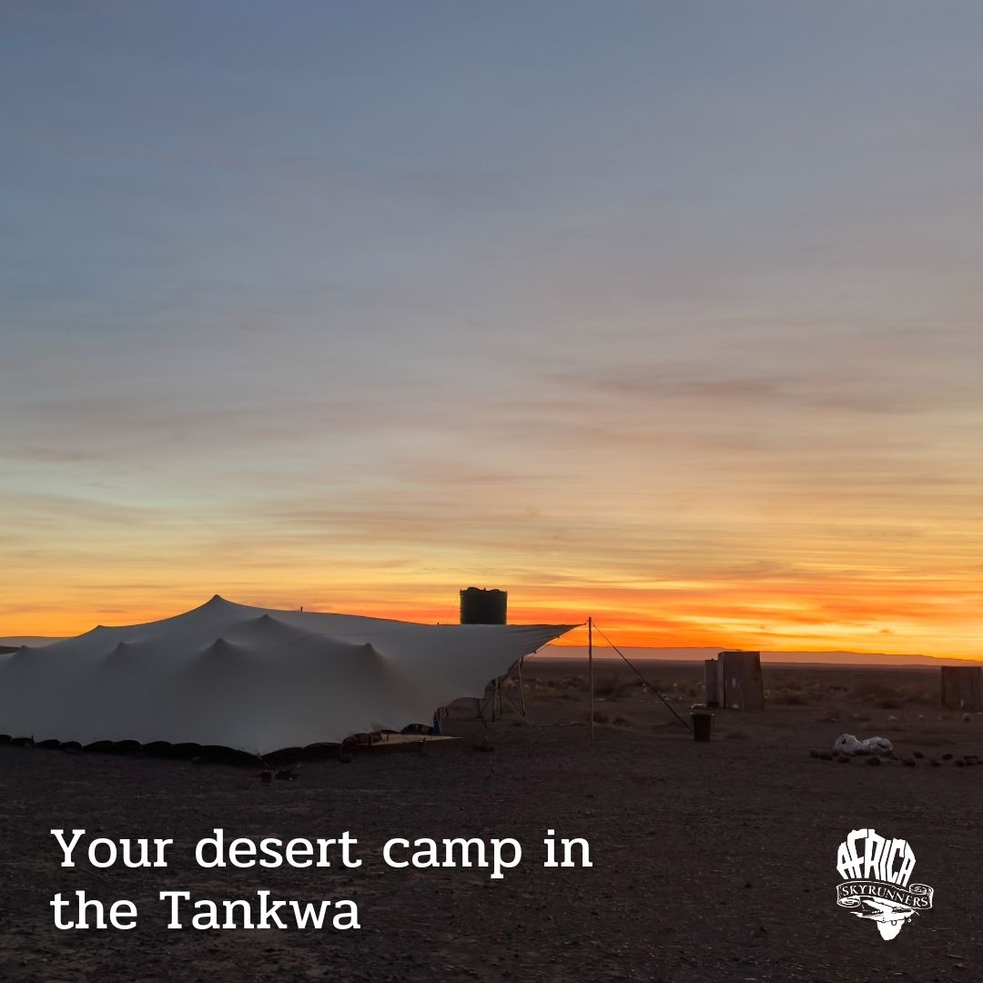 Sheltered beneath Bedouin-style canopies, your desert camp in the Tankwa offers unpretentious comfort. When night falls, the open sky takes over; moon, constellations, and the steady flicker of shooting stars are the real luxury here.
Visit for upcoming dates👉 https://bit.ly/flyexptankwakaroo
Book 📞💬+27 (0)83 760 1330
#AfricaSkyRunners #TankwaKaroo #FlyInSafari #KarooExperience #StargazingSouthAfrica