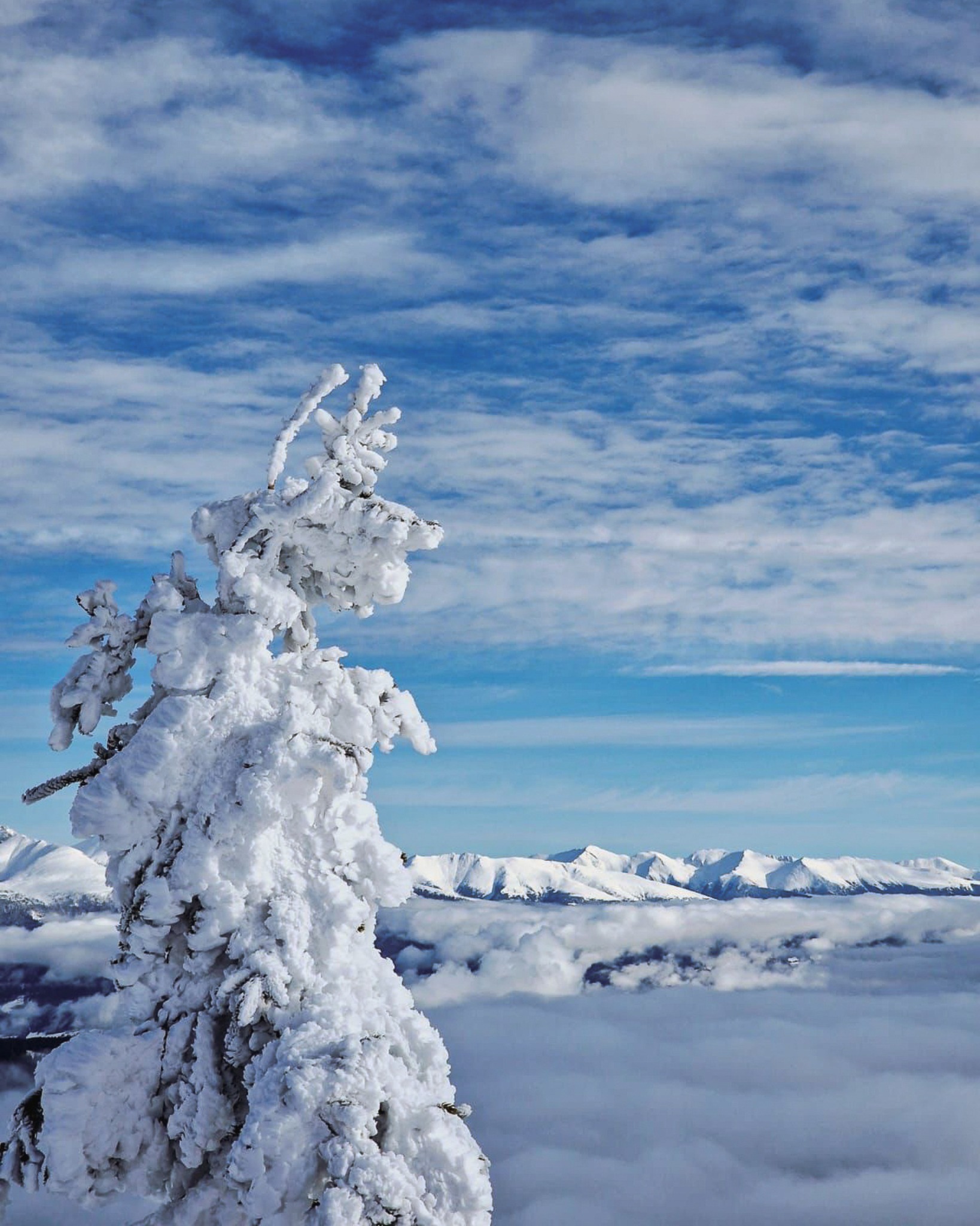 Über dem Nebel ☀ Diese Ausblicke gibt es im Skigebiet Katschberg zu genießen 🏔
#schneeflockerlkatschberg #katschberg #salzburgerlungau