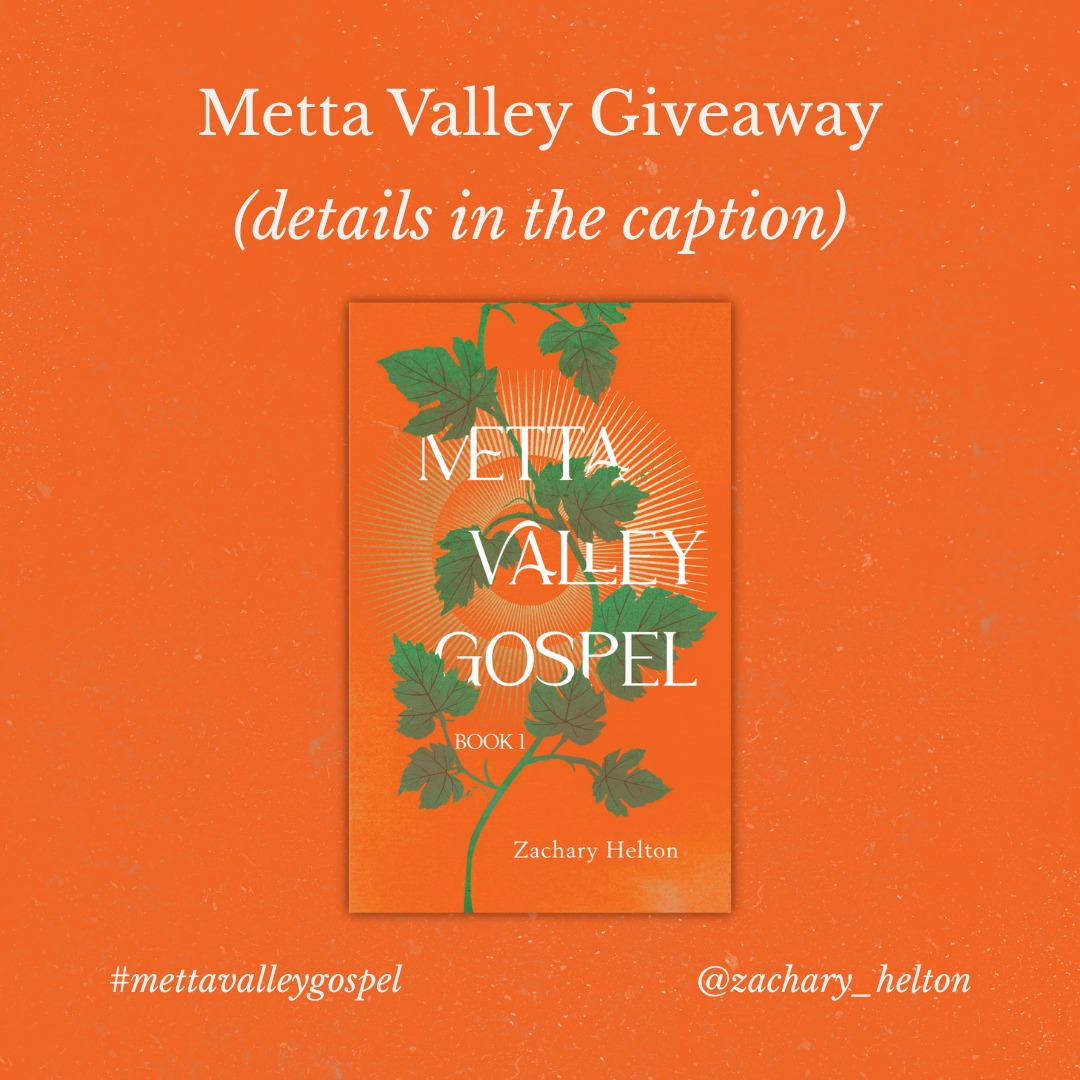 To get ready for the Book 2 launch in March, I’m giving away several free e-book copies of Metta Valley Gospel: Book 1.
To enter for a chance to receive a free e-book, just comment #mettavalleygospel below. If you’re selected, I’ll follow up with you directly.
If you’ve been curious about the series or know someone who might appreciate a different approach to faith and healing, this is for you. #exvangelical #deconstruction #indieauthorsofinstagram