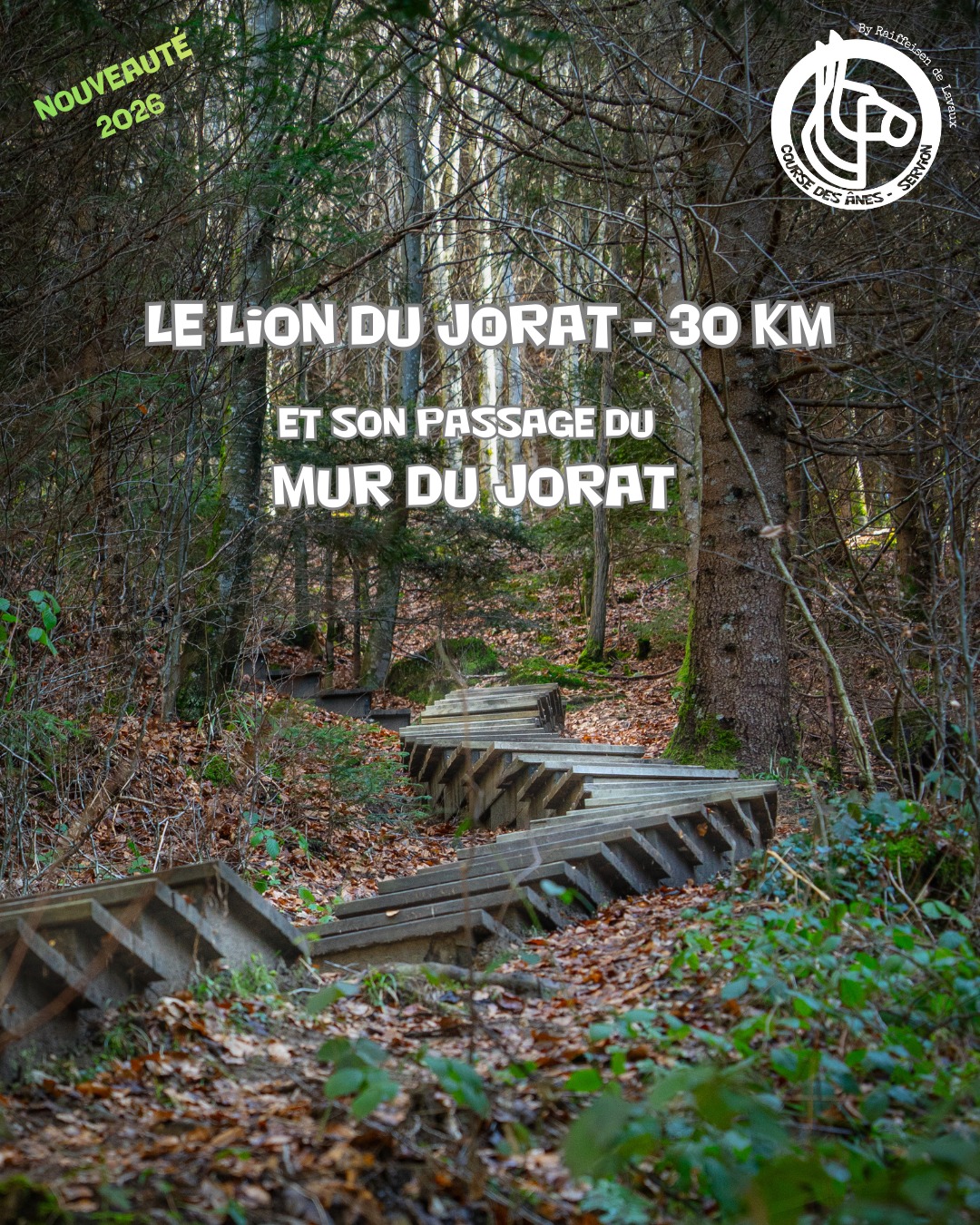 T'as déjà entendu parler du « Mur du Jorat » ? Pas encore ? Inscris-toi au nouveau trail Le Lion du Jorat 30K et découvre-le. Ça vaut le coup !
@zoo_de_servion @tropiquarium_de_servion @liaudetpial @wellamo.ch @myvaud #NPPR @idees_vertes_sarl #Servion #Trailrunning @leman_running #Raiffeisen_de_lavaux @aebischer_charpente_menuiserie