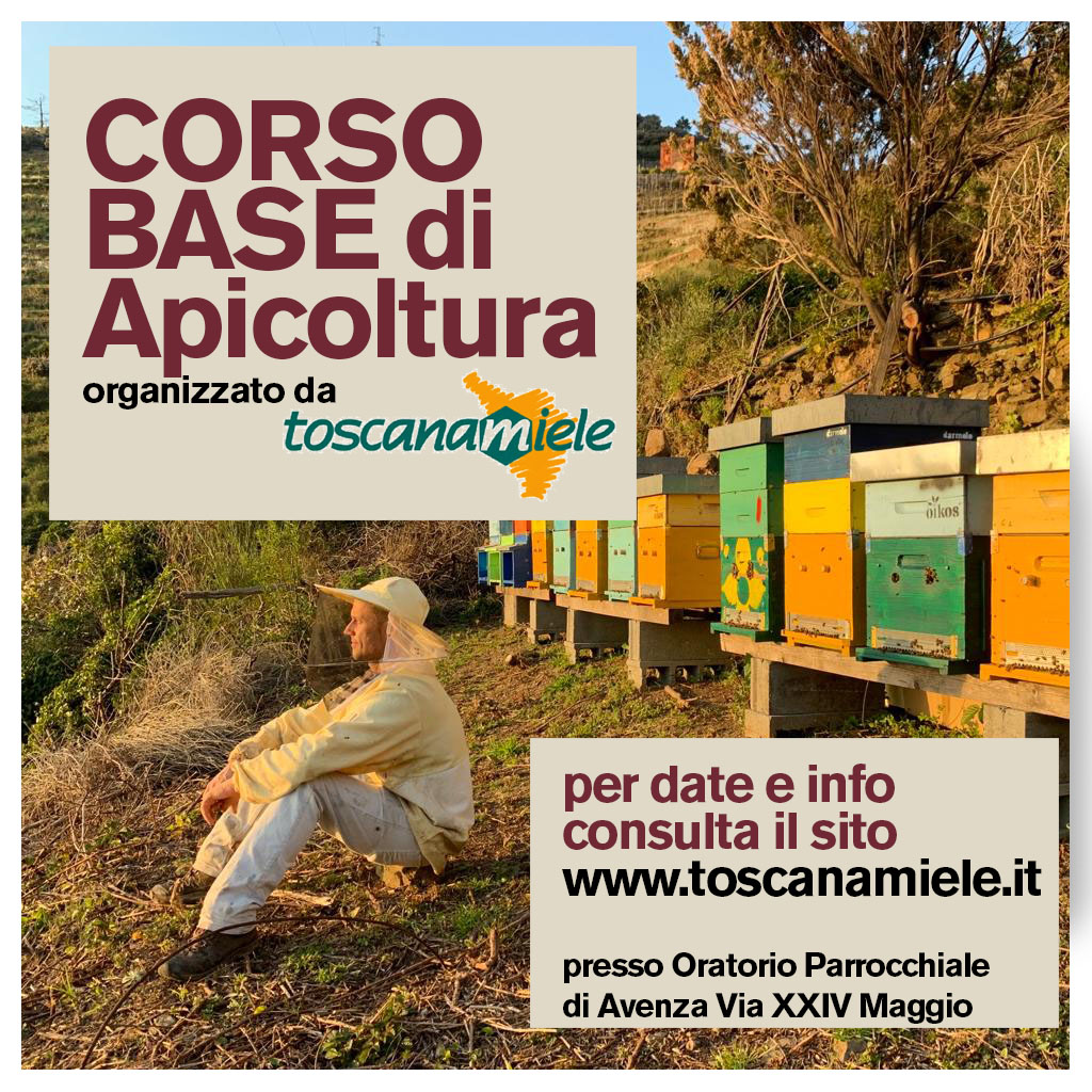 Corso di Apicoltura Base organizzato da Toscana Miele.
Presso Oratorio Parrocchiale di Avenza Via XXIV Maggio
Per info corso e date consulta il sito www.toscanamiele.it
Gli argomenti, a grandi linee: morfologia delle api, casta dell’alveare e alveare; prodotti e attori in sciami e regine, cera, polline e pappa reale; arnia, attrezzatura apistica e calendario dell’apicoltore; lotta ai parassiti (in particolare il temuto Varroa) e altre patologie; legislazione sanitaria e tecnica nazionale (con focus sulla Banca Dati Nazionale). Ad ogni ciclo teorico seguiranno, per ogni zona, delle sessioni pratiche in apiario, sempre guidati da apicoltori ed esperti di Toscana Miele, l’associazione che dal 1991 conta oltre 800 soci su tutta la Regione.
Per informazioni, calendari e iscrizioni:
info@toscanamiele.it – 058357525.
#corsodiapicoltura #toscanamiele #apicoltura