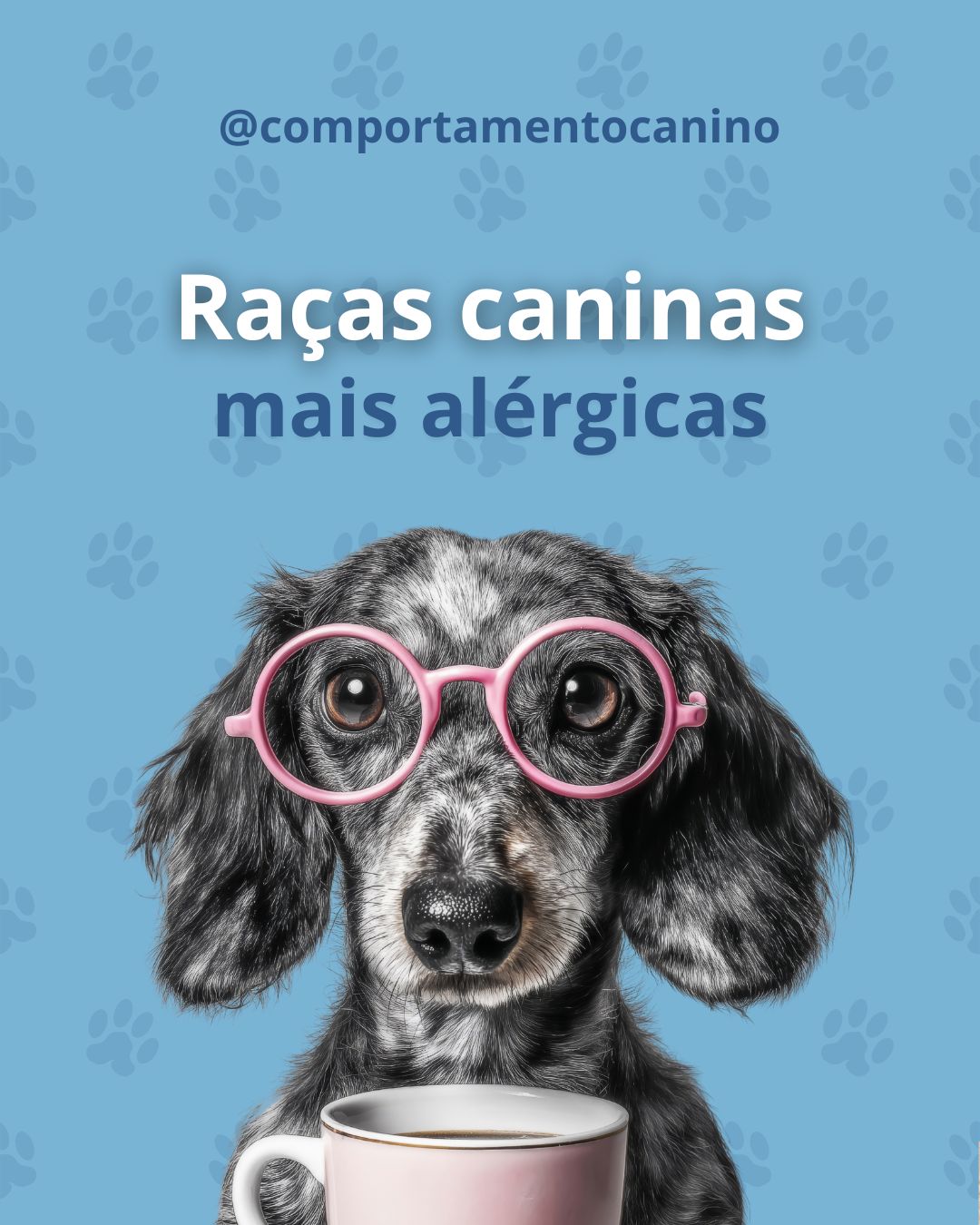 Tal como nós, também os patudos podem sofrer de alergias 🐾
Algumas raças têm maior predisposição para desenvolver alergias cutâneas, alimentares ou ambientais, e saber isso faz toda a diferença.
Este post é apenas informativo: não é para alarmar, mas para alertar 👀
Conhecer as raças com maior tendência ajuda-nos a estar mais atentos aos sinais e a cuidar melhor deles no dia a dia.
Porque informação também é prevenção 💛
E quando sabemos mais, cuidamos melhor dos nossos patudos.