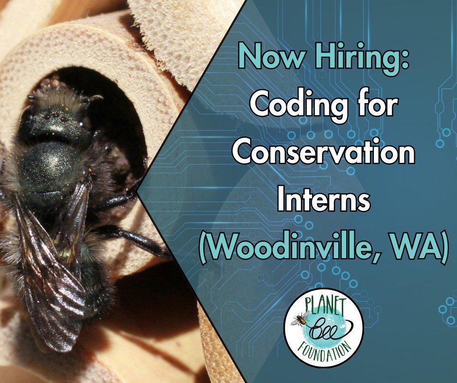 Curious about conservation and working with students? 🐝📚
📣 We’re hiring a college-aged intern to support a STEM and environmental education pilot in Woodinville, WA.
This role is hands-on and classroom-based, supporting coding and data lessons and working directly with middle school students on conservation and technology.
Learn more and apply at the link in our bio.
#stemeducation #stem #internship #internshipopportunity #bees