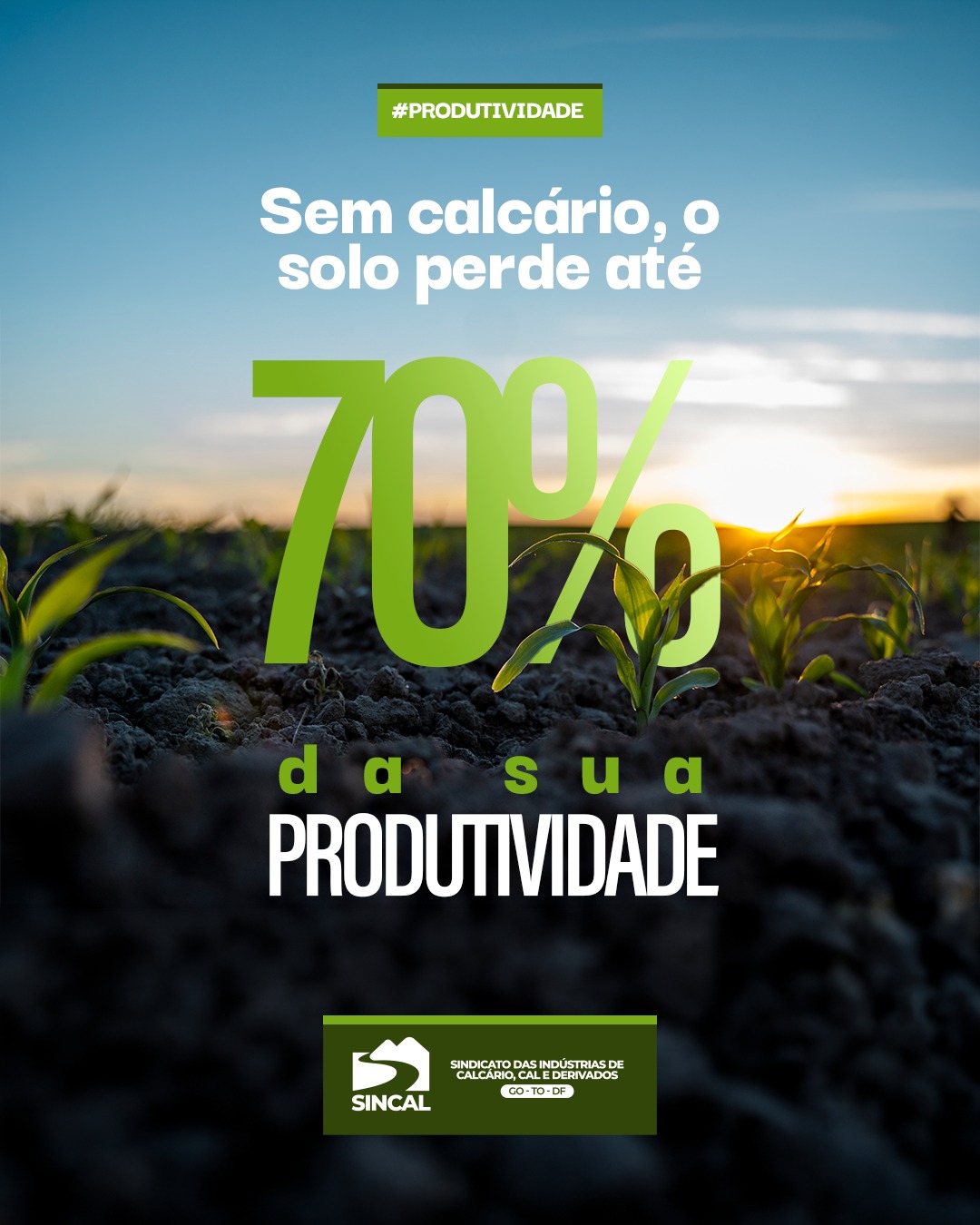 A correção da acidez do solo é essencial para que as plantas aproveitem os nutrientes. Um pequeno investimento que faz toda a diferença no resultado da lavoura! 🌱
#CuriosidadeAgro #Produtividade #CalcárioÉEssencial